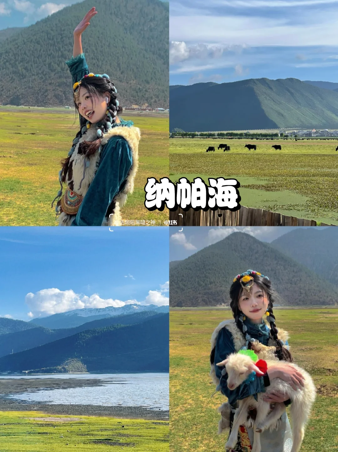 第一次来云南，不会做攻略请看👀这里