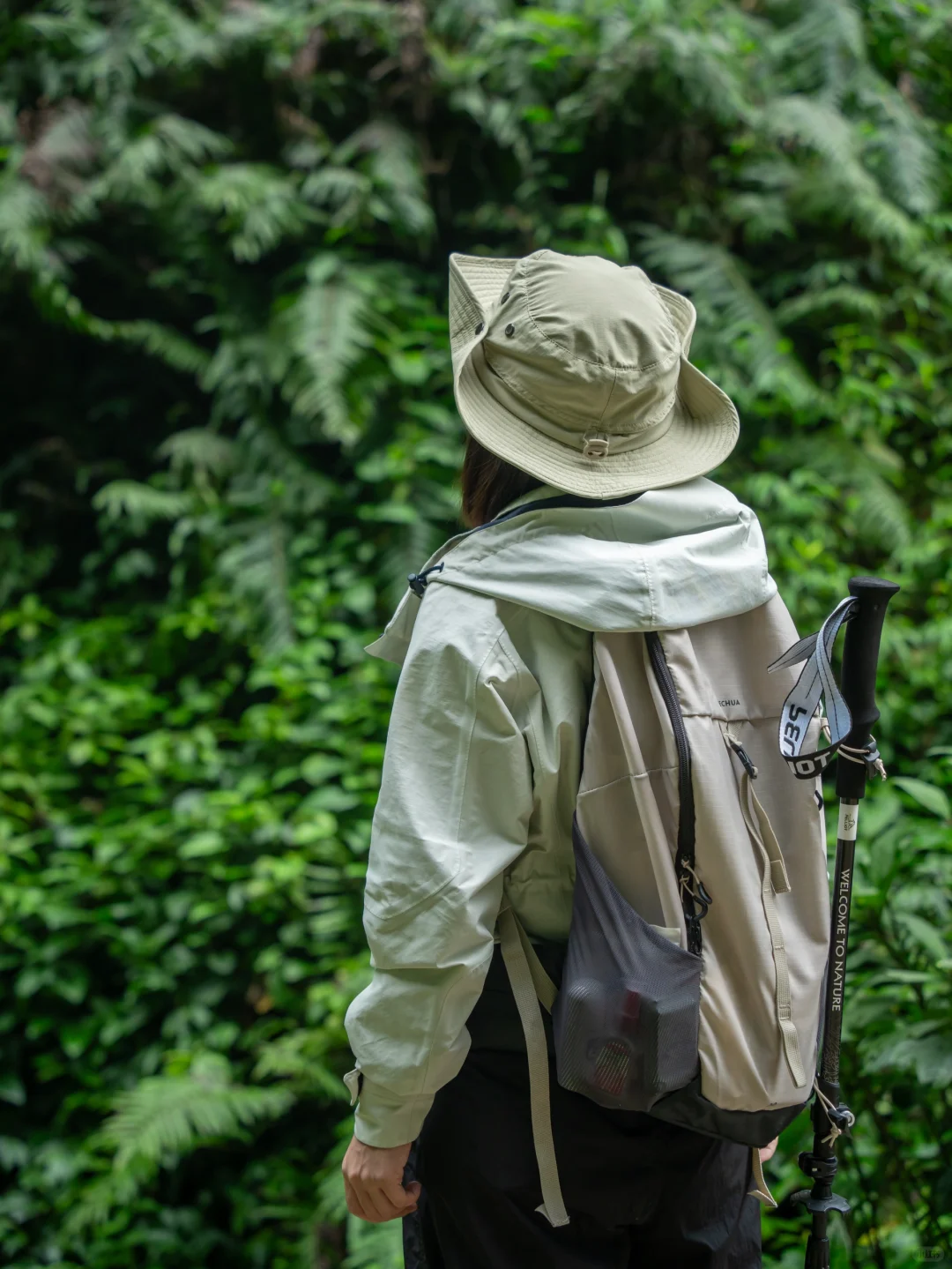我宣布！我找到了中国最原始感的森林植物园