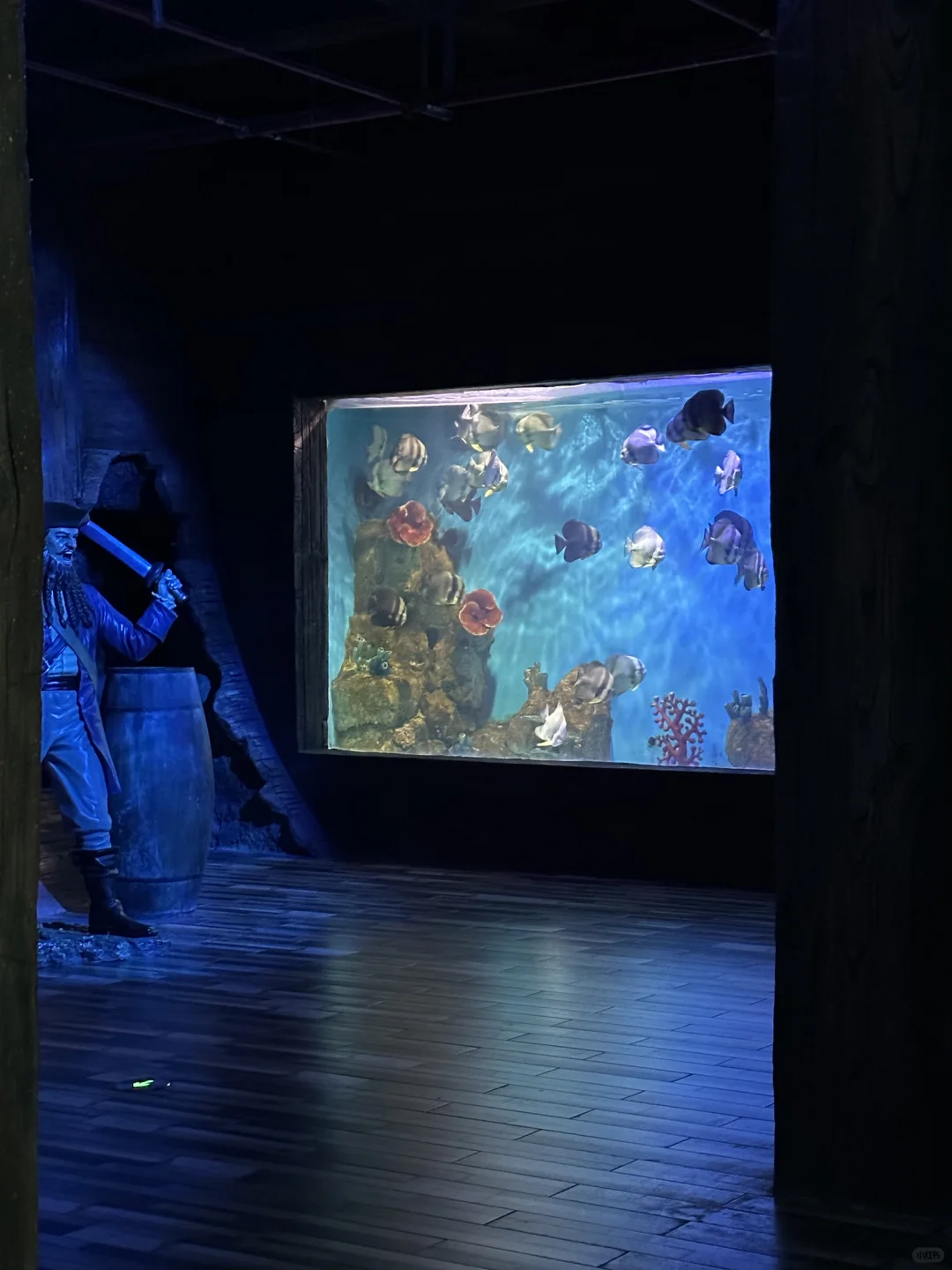 厦门周边！海上落日过山车！！！