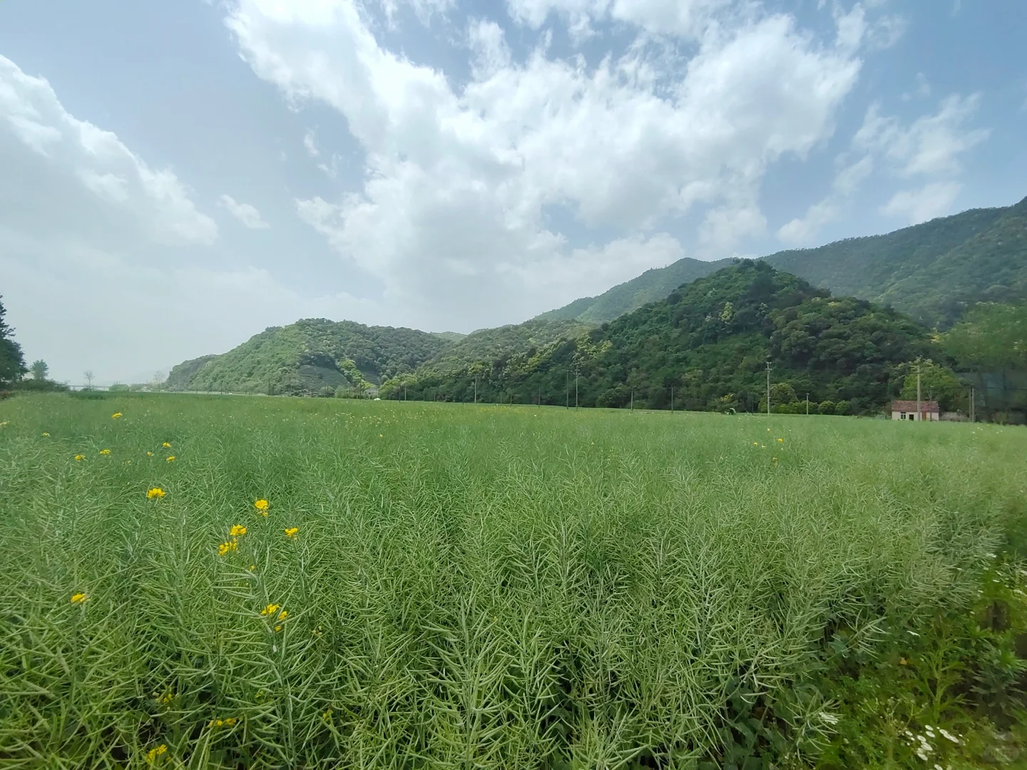 四月反向游 D1｜富阳桐庐感受富春江之美