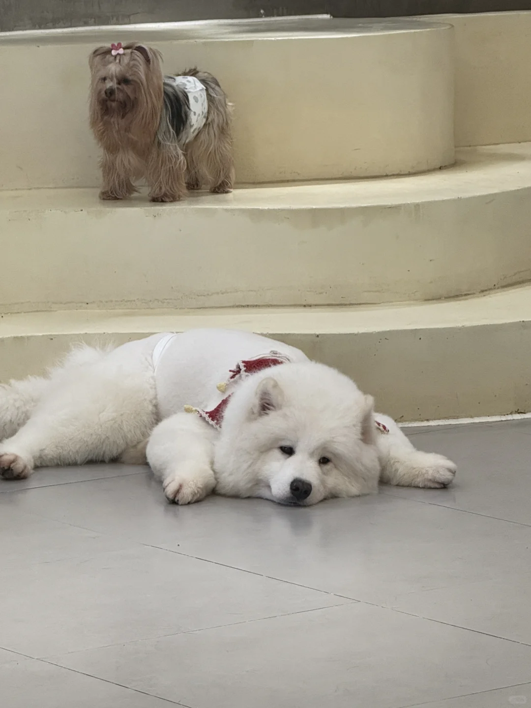 圆满结束的重庆之旅