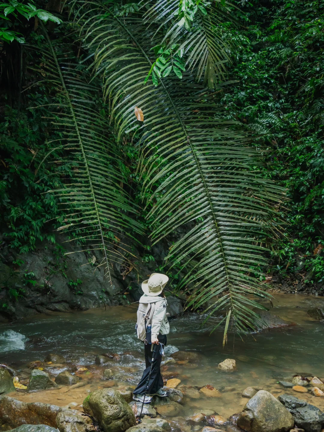我宣布！我找到了中国最原始感的森林植物园