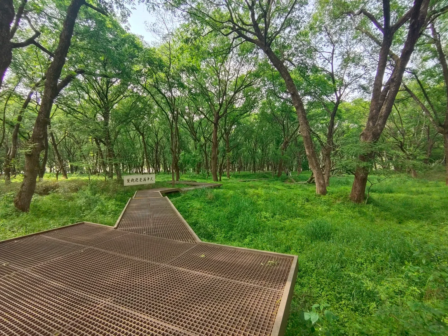 四月反向游 D1｜富阳桐庐感受富春江之美