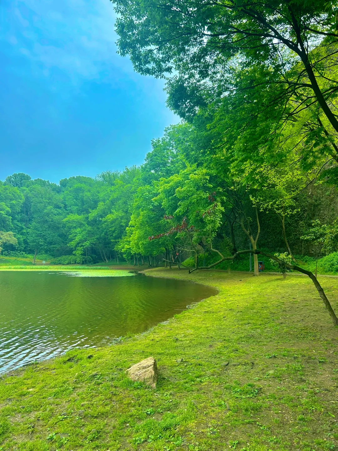 南京半日游!推荐❶条私藏小众秘境路线