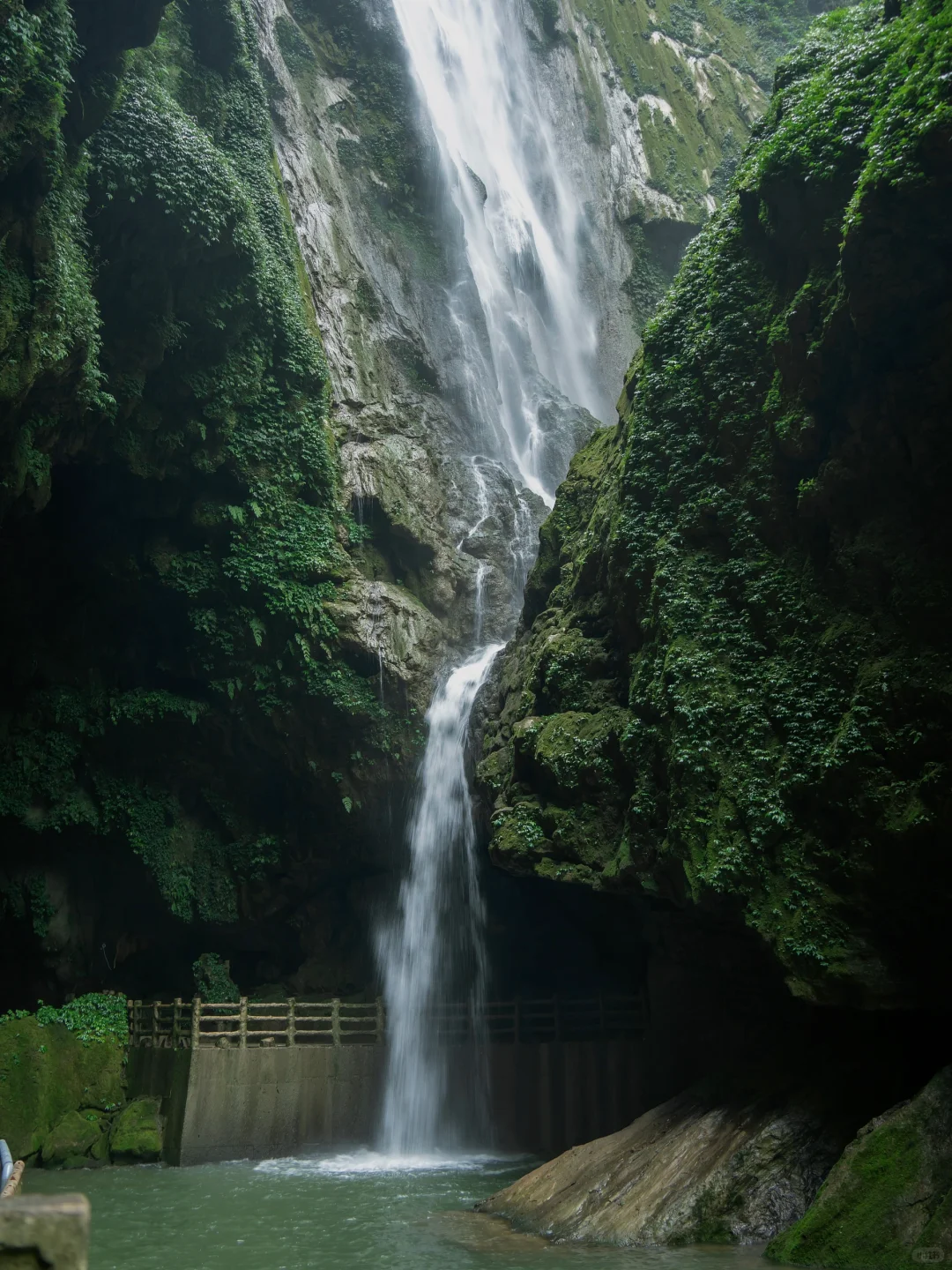 我宣布！我找到了中国最原始感的森林植物园