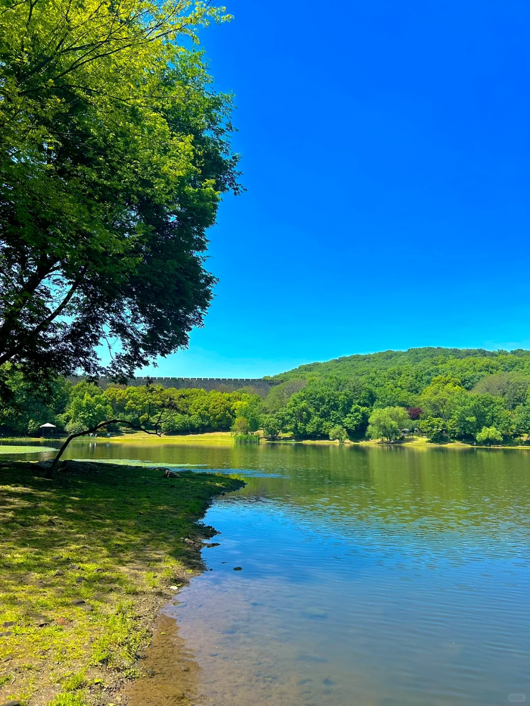 南京半日游!推荐❶条私藏小众秘境路线