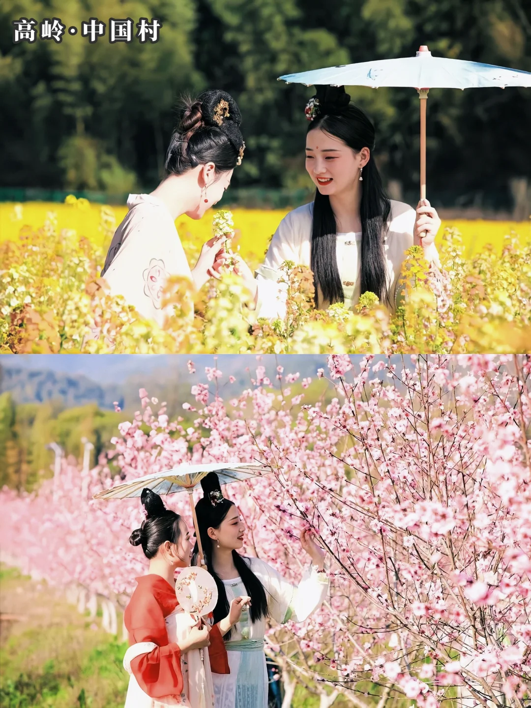 真的很难对景德镇祛魅…3-4月淡季出游赢麻了