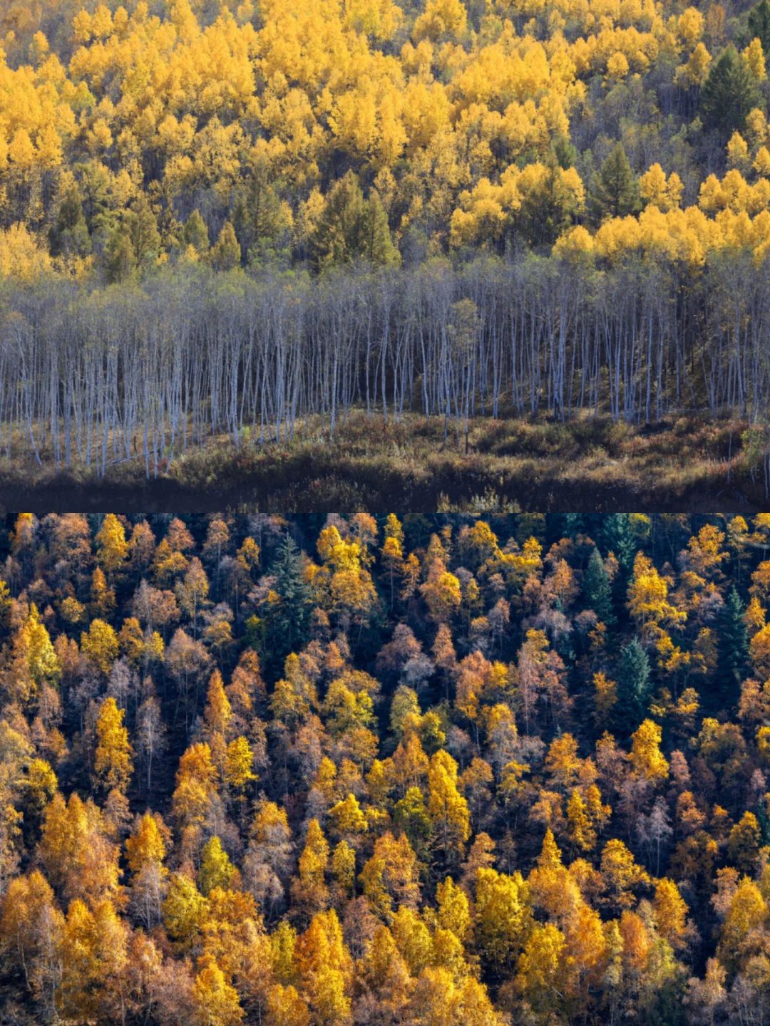 这8大景点,把银川玩到心里去