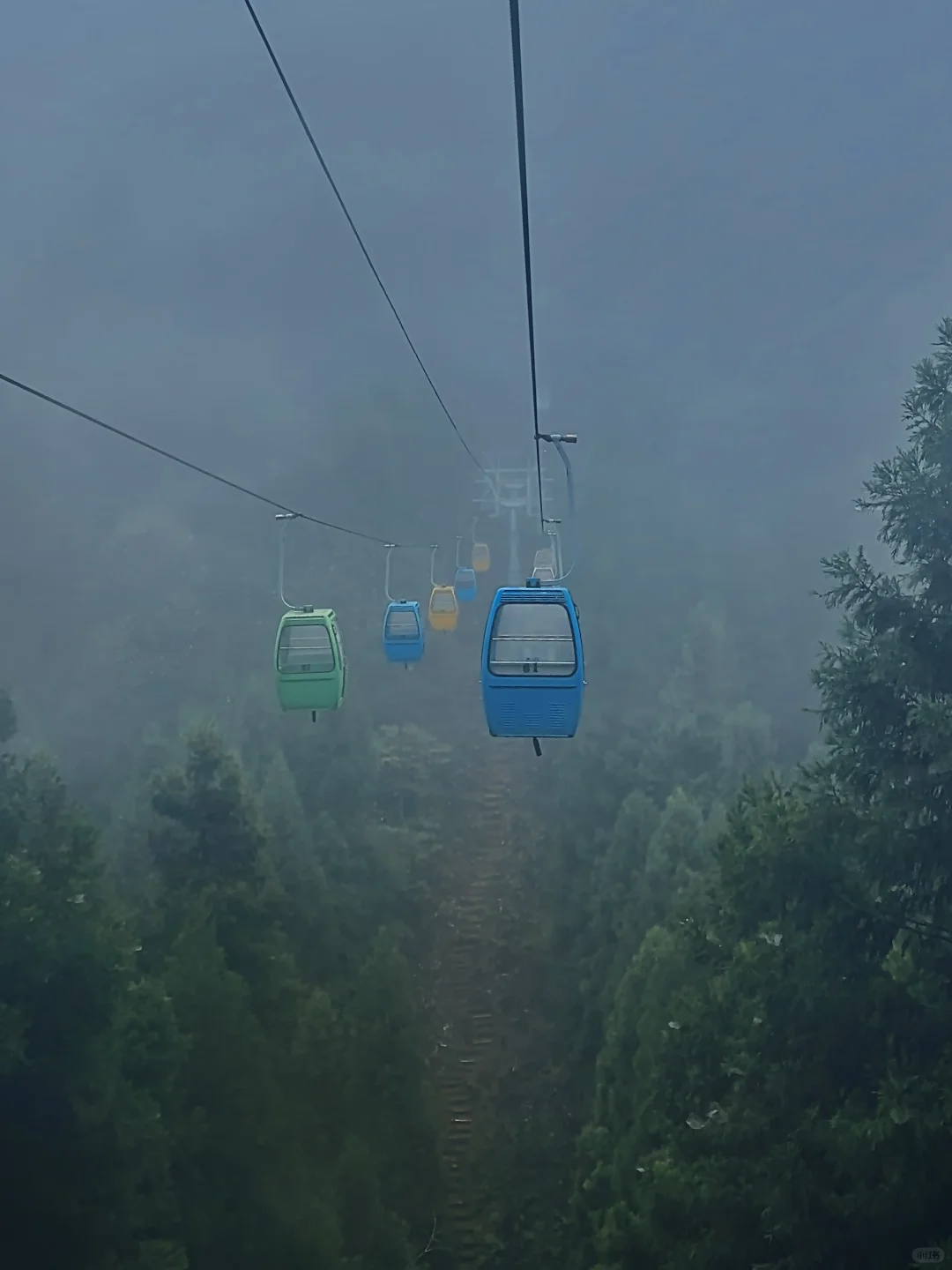 湖北22°c的森林秘境！像仙侠世界