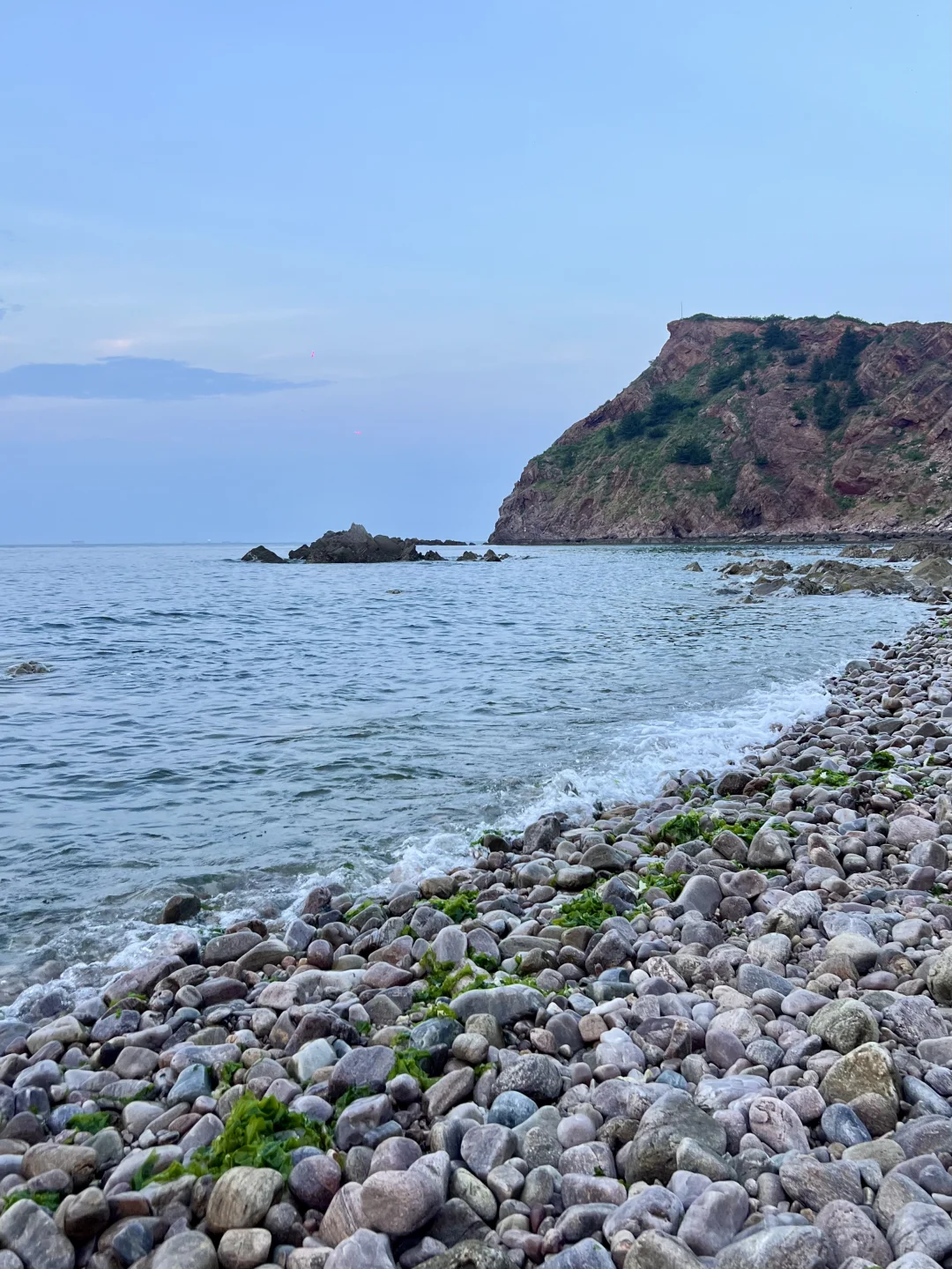 没出国!烟台被遗忘的小众海岛芝罘岛🌊好美!