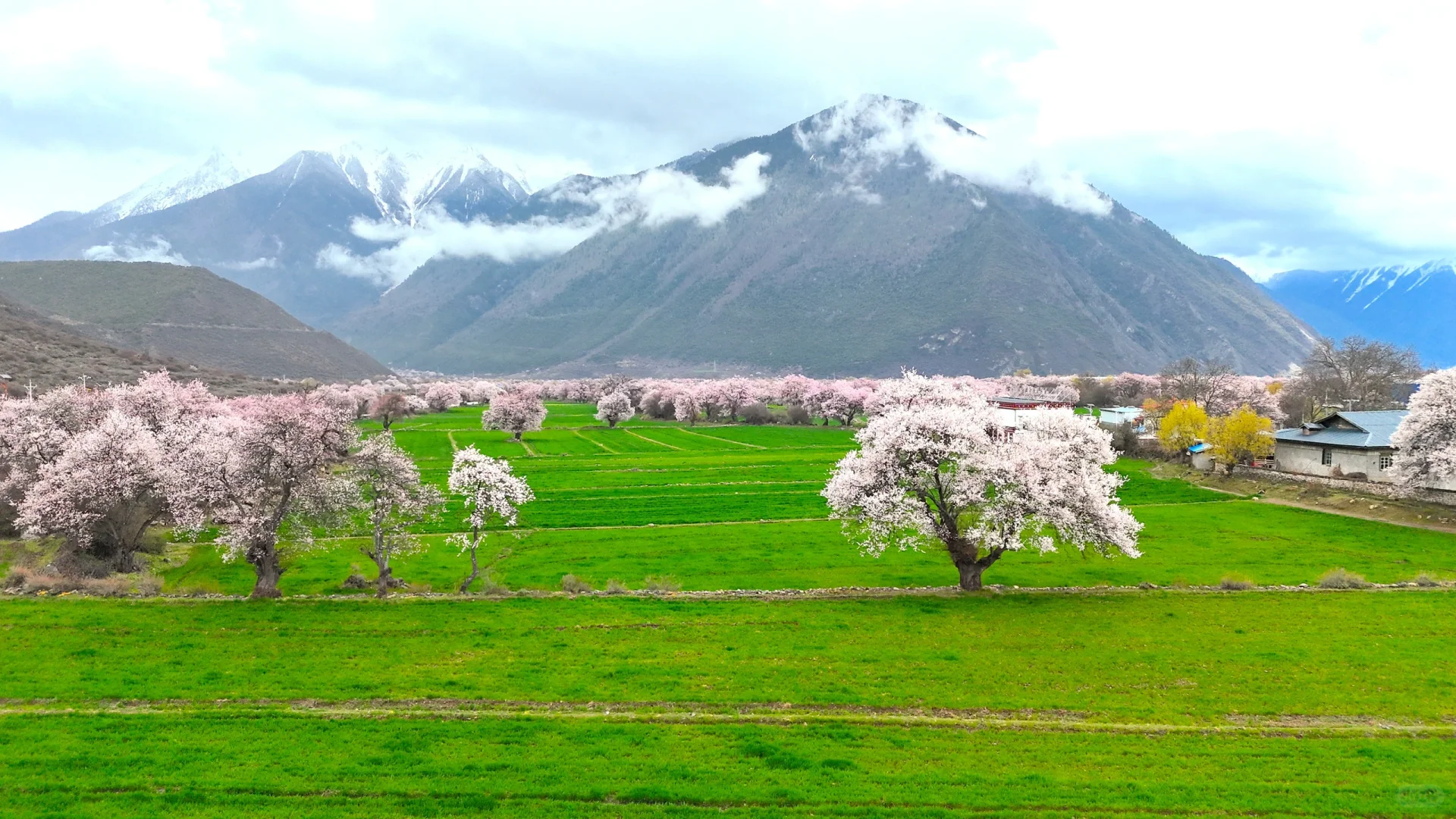 4月 波密-林芝-拉萨超详细小众出片景点
