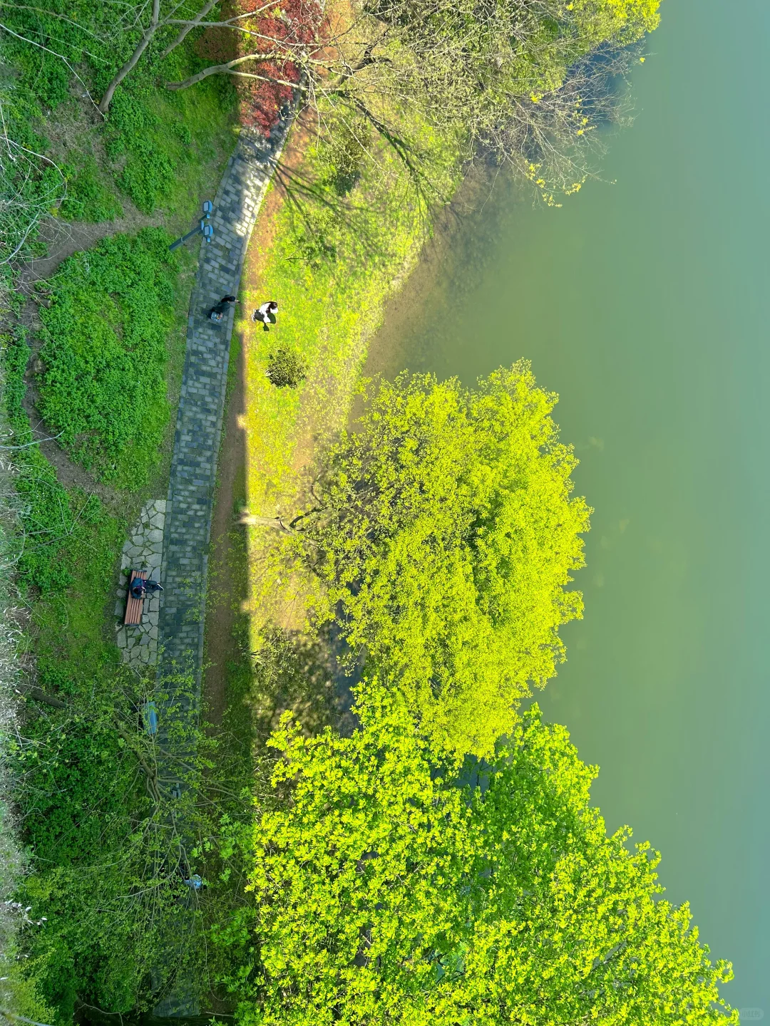 南京半日游!推荐❶条私藏小众秘境路线