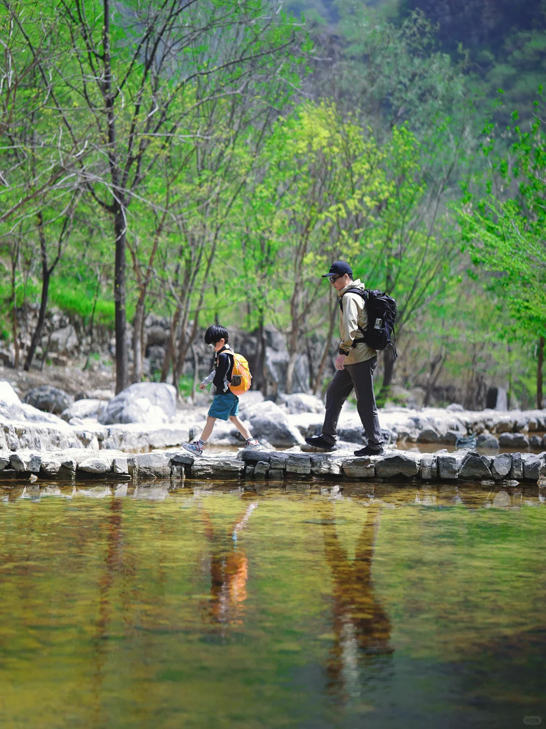 北京十万人围观的亲子徒步路线开放啦‼️