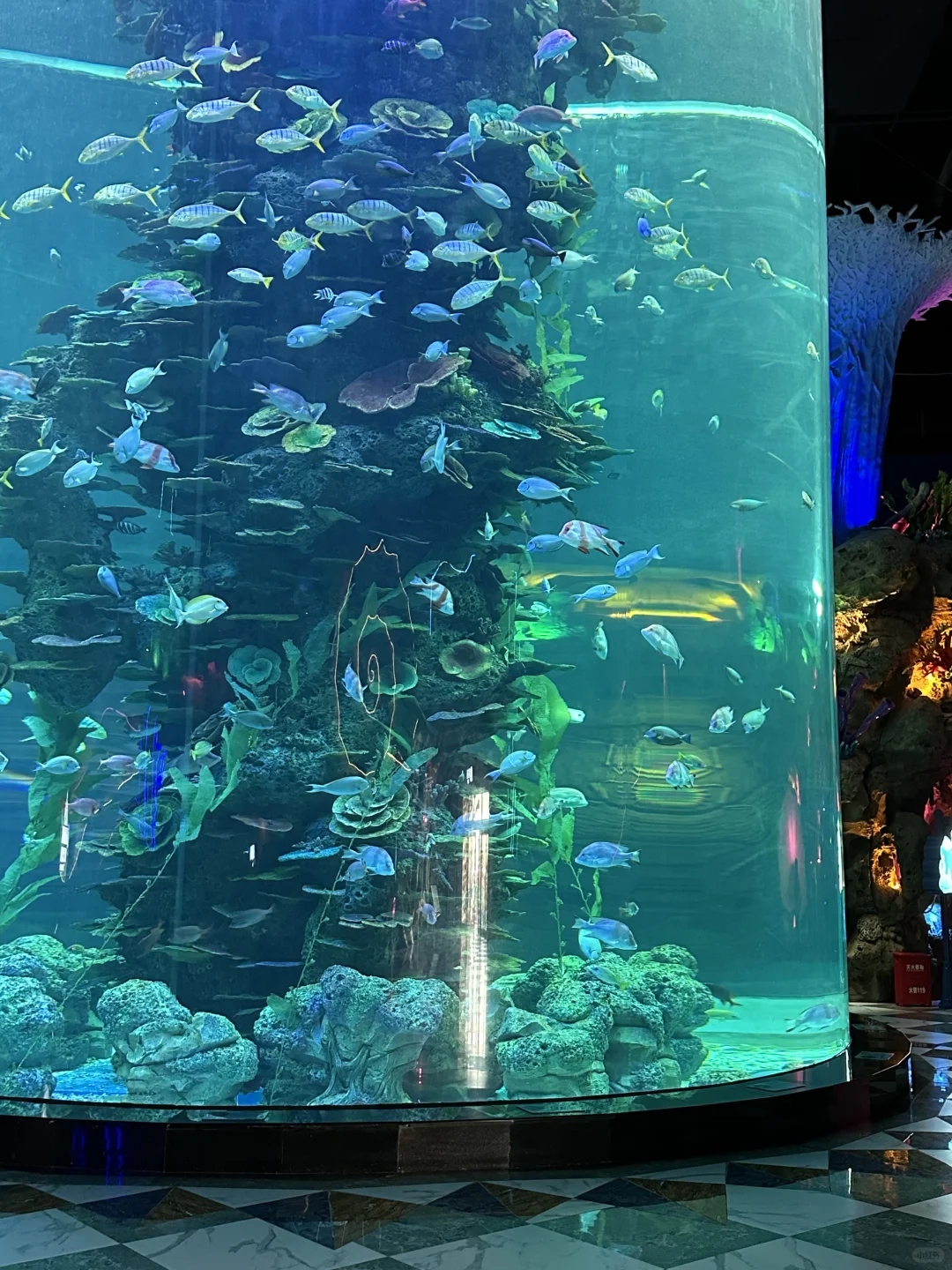 厦门周边！海上落日过山车！！！