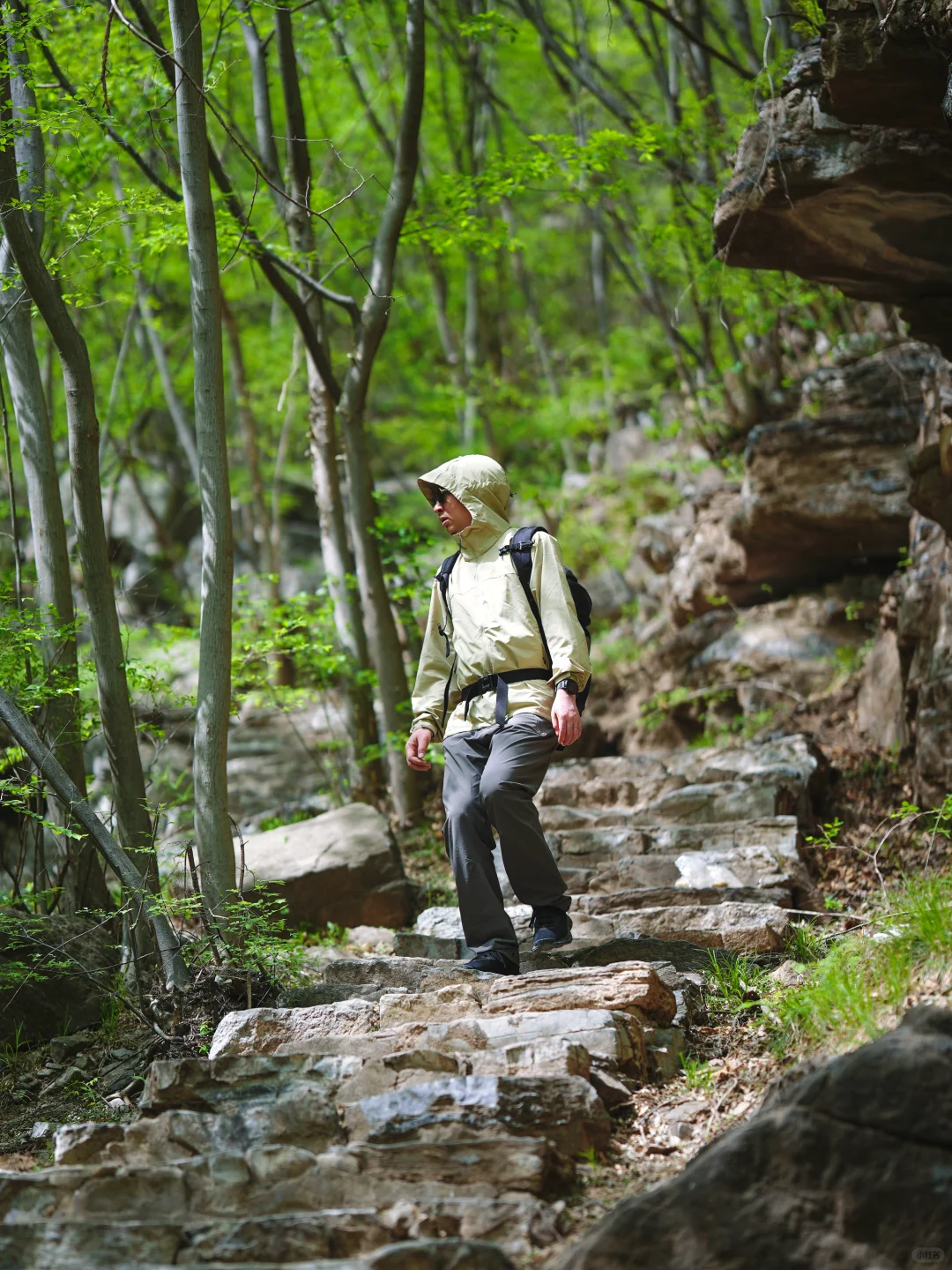 北京十万人围观的亲子徒步路线开放啦‼️