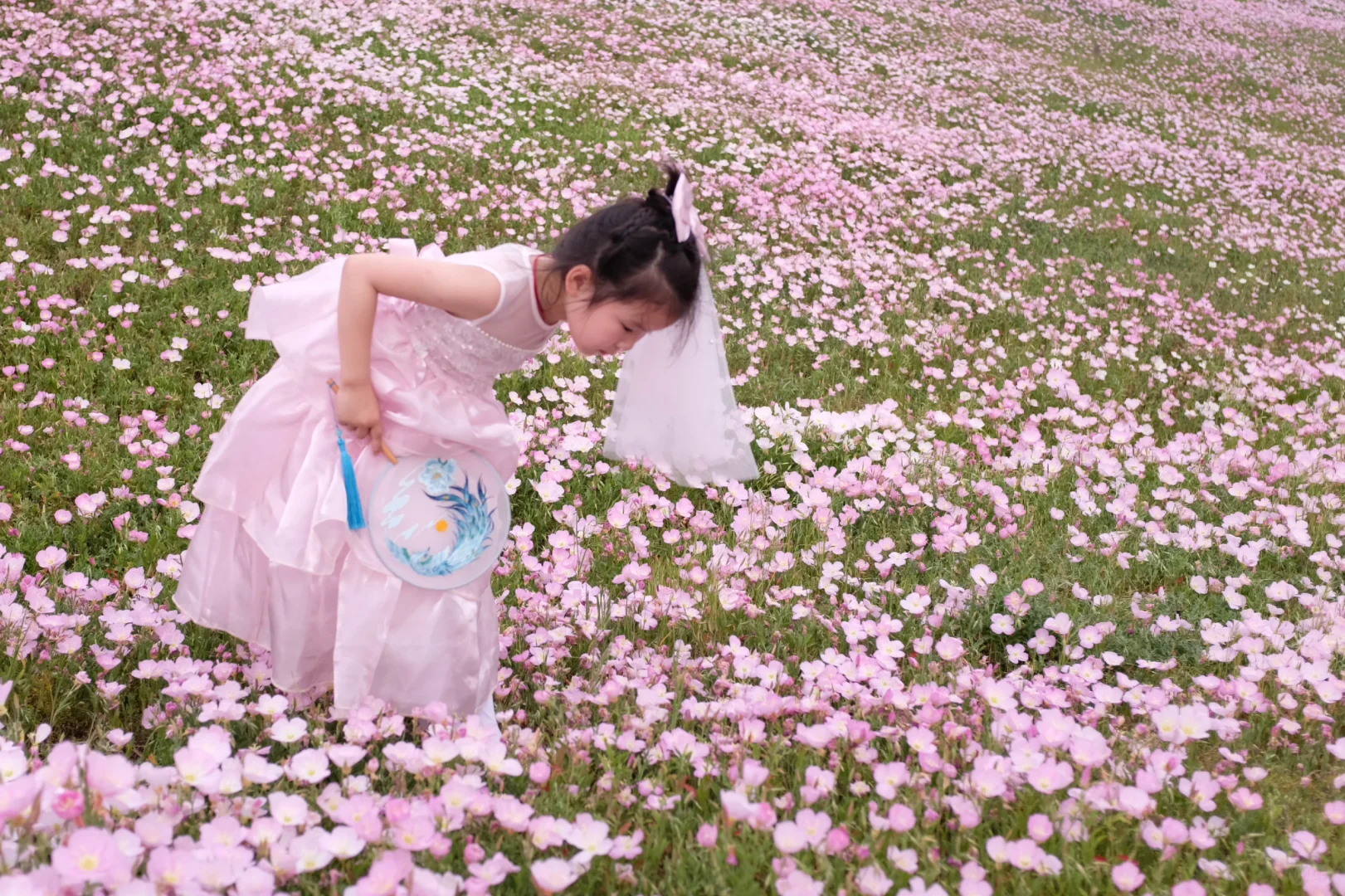 4.19南京周边无人花海