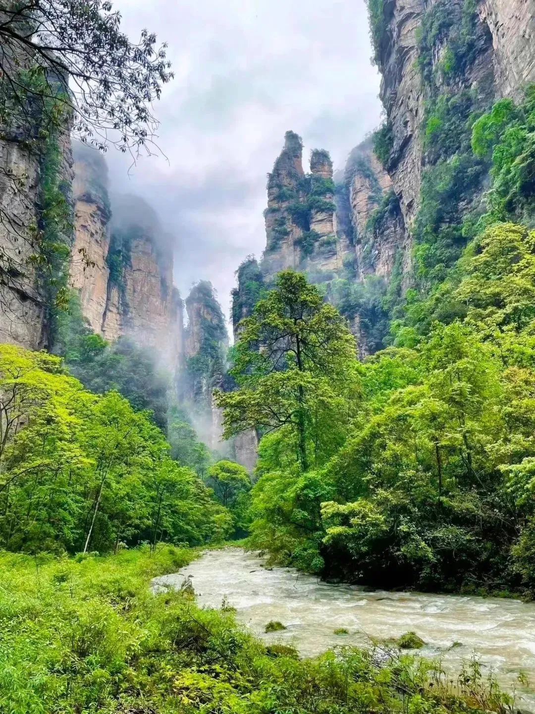 中国最美的8个人间仙境，你去过几个？