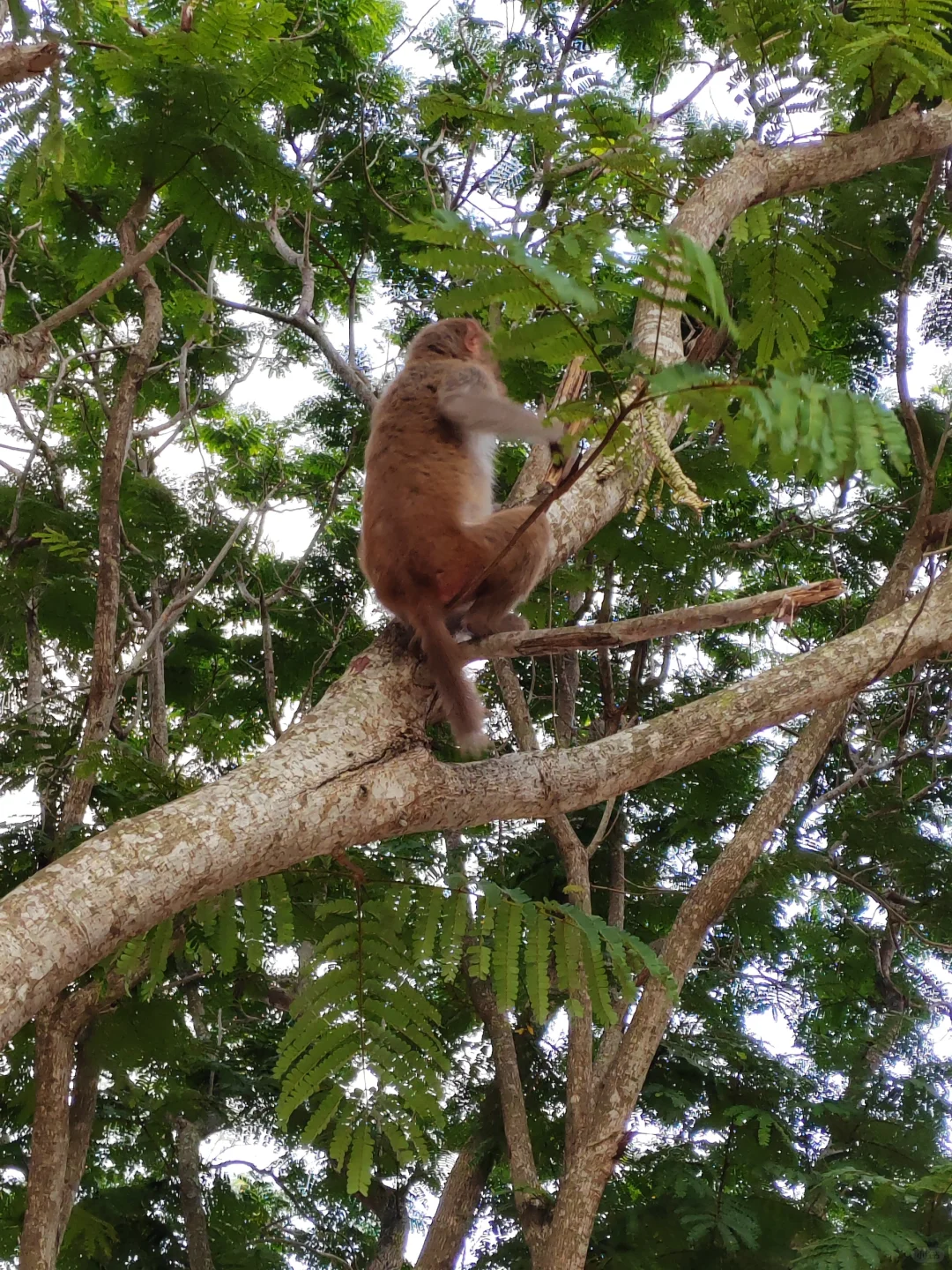 呆呆岛，适合发呆的地方！