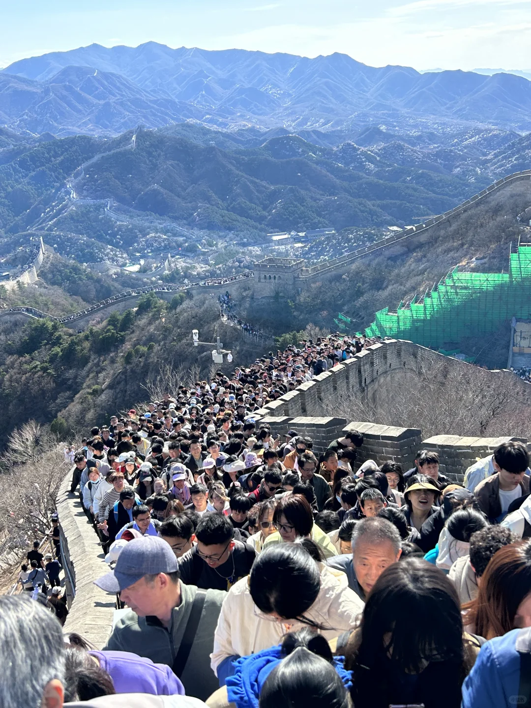 一句不到长城非好汉结果我在长城挤成女汉子