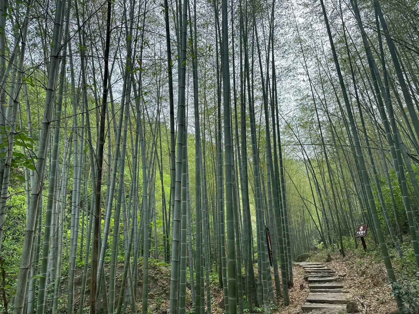 六安周边亲子游：龙井沟风景区