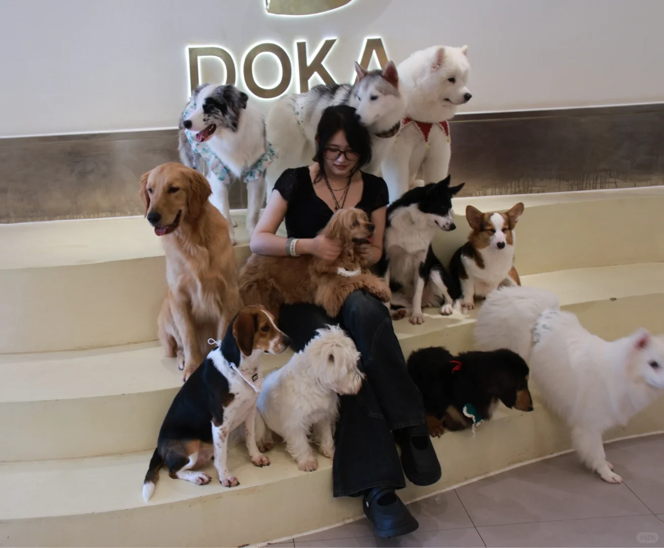 圆满结束的重庆之旅