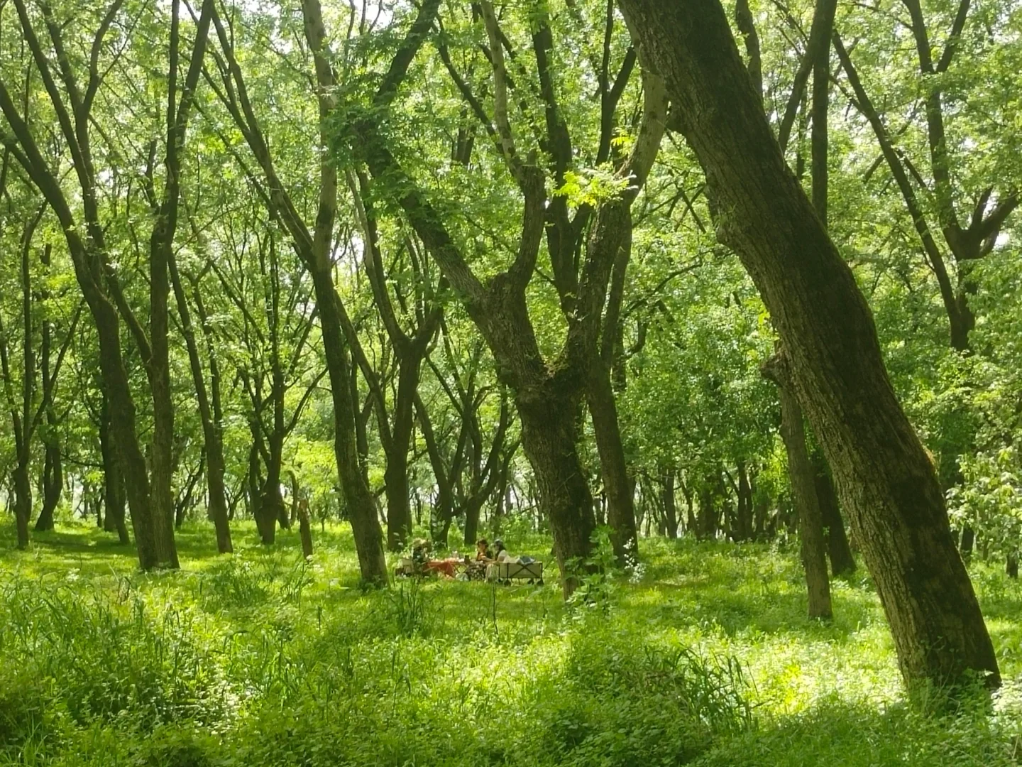 四月反向游 D1｜富阳桐庐感受富春江之美