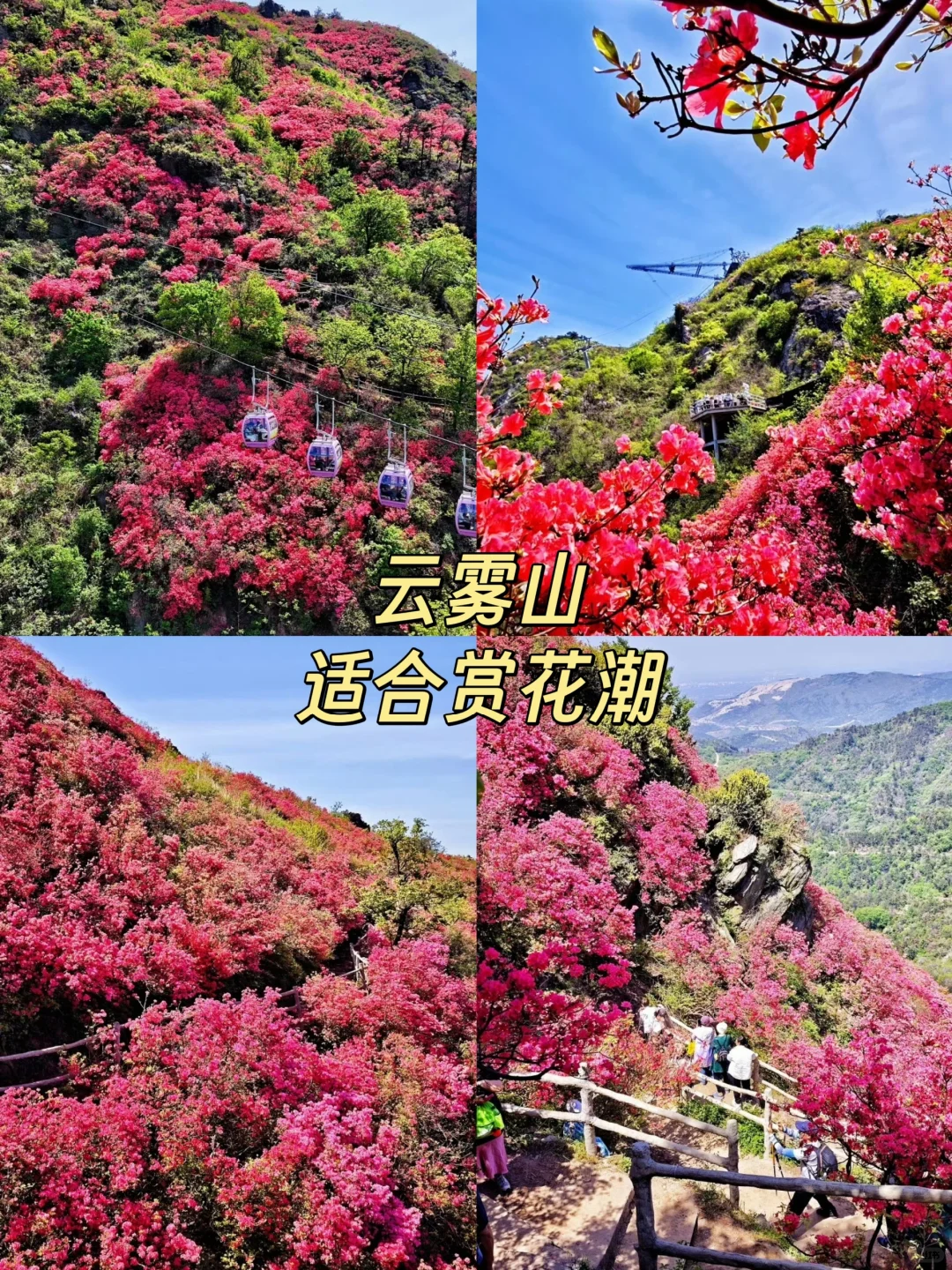 4月武汉美到超乎想象❗️❗️邂逅江城浪漫