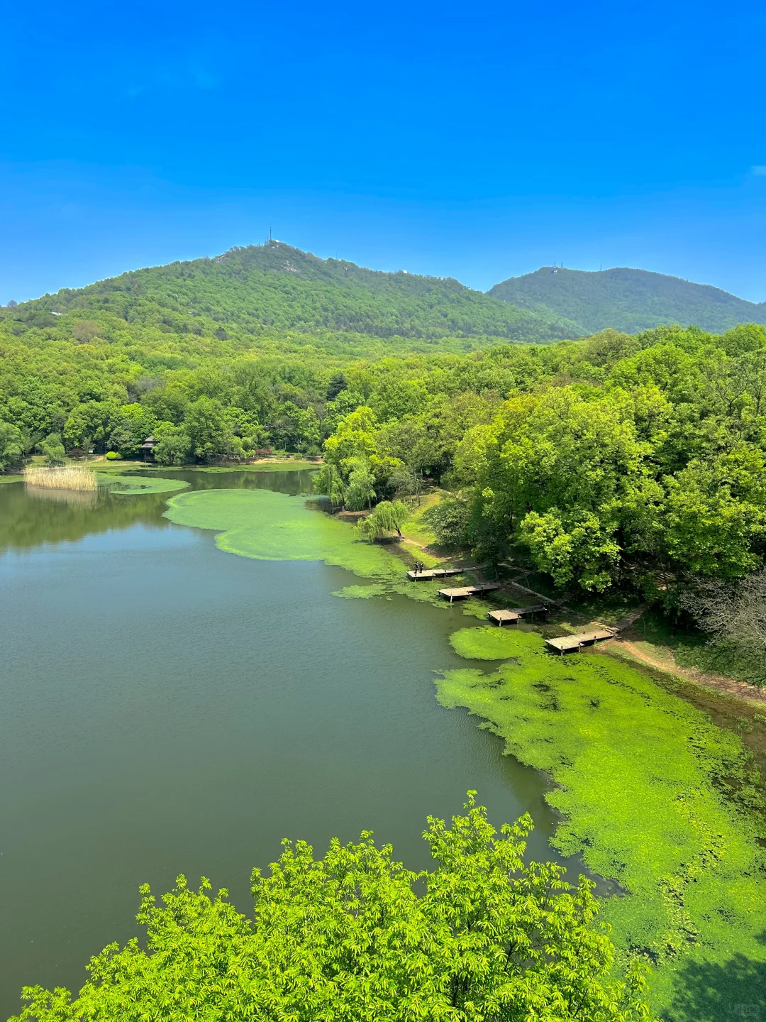 南京半日游!推荐❶条私藏小众秘境路线