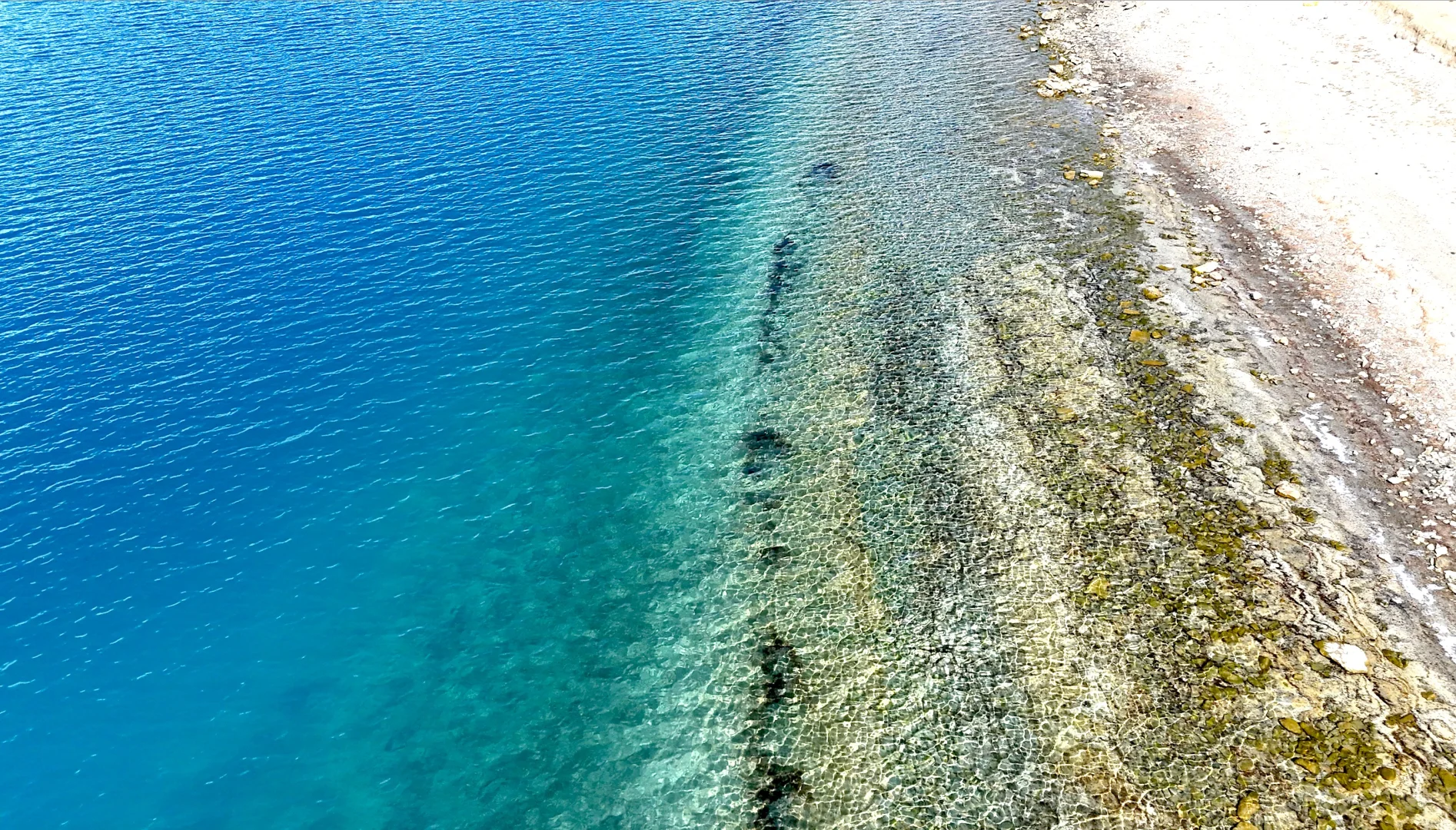 4月 波密-林芝-拉萨超详细小众出片景点