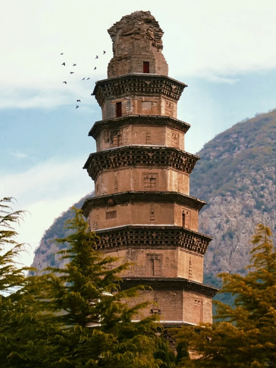 邯郸人从小玩到大！这才是真·必去景点🏯