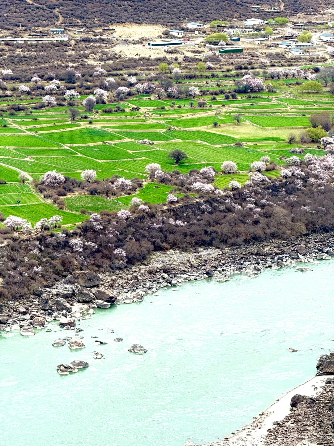 4月 波密-林芝-拉萨超详细小众出片景点