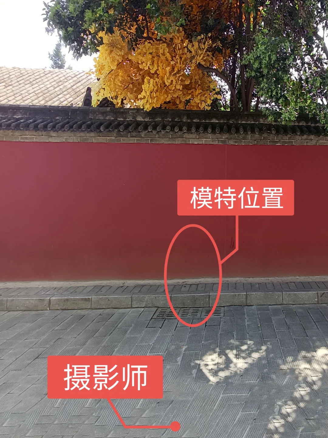 西安广仁寺｜6️⃣个宝藏机位大公开