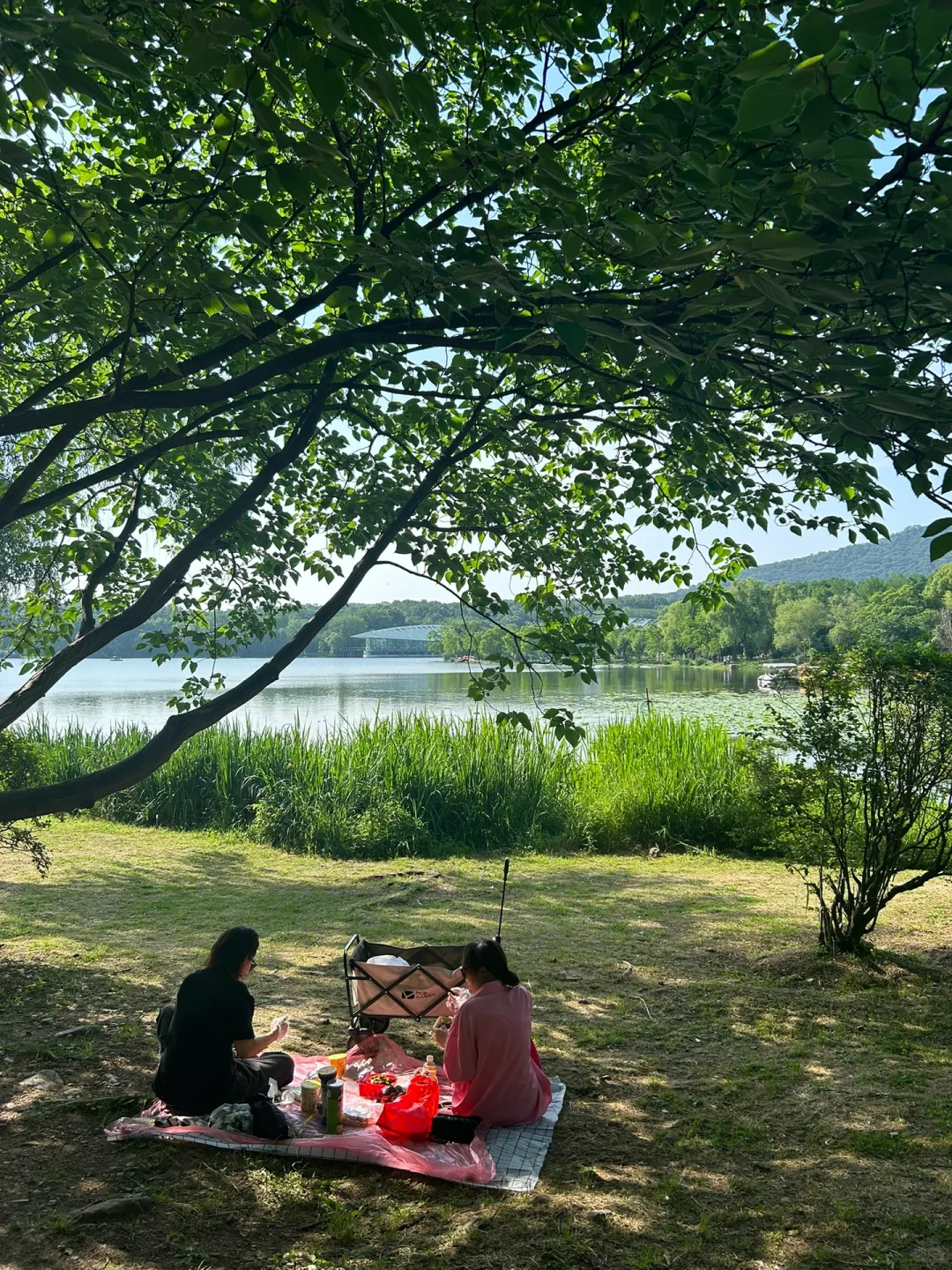 南京半日游!推荐❶条私藏小众秘境路线