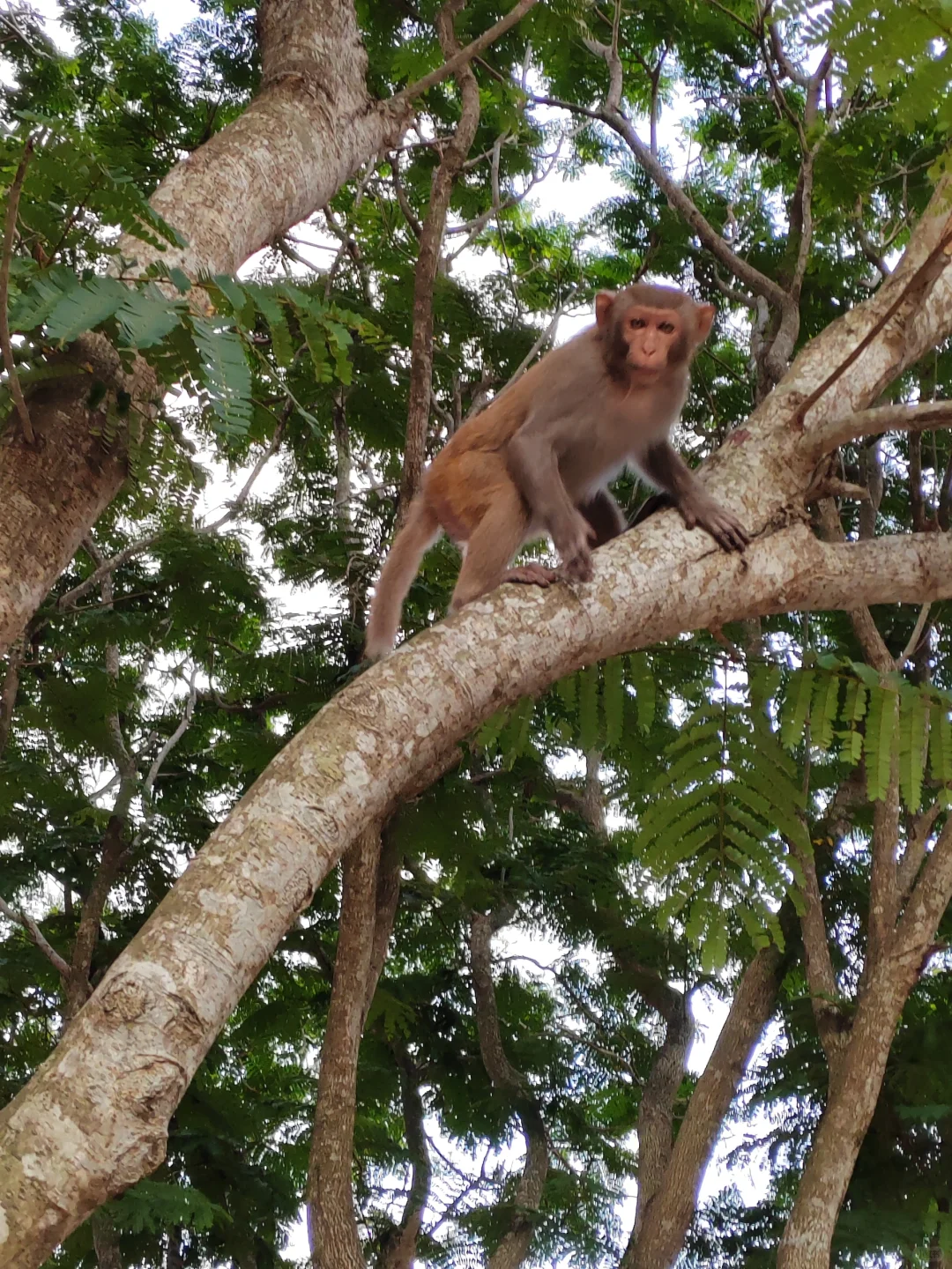 呆呆岛，适合发呆的地方！