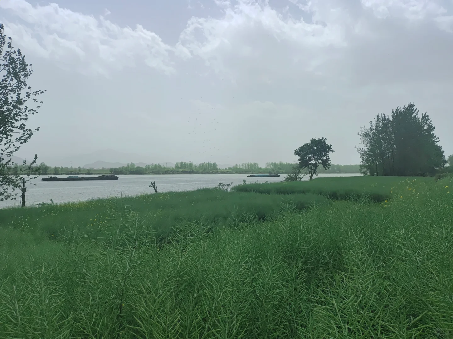 四月反向游 D1｜富阳桐庐感受富春江之美