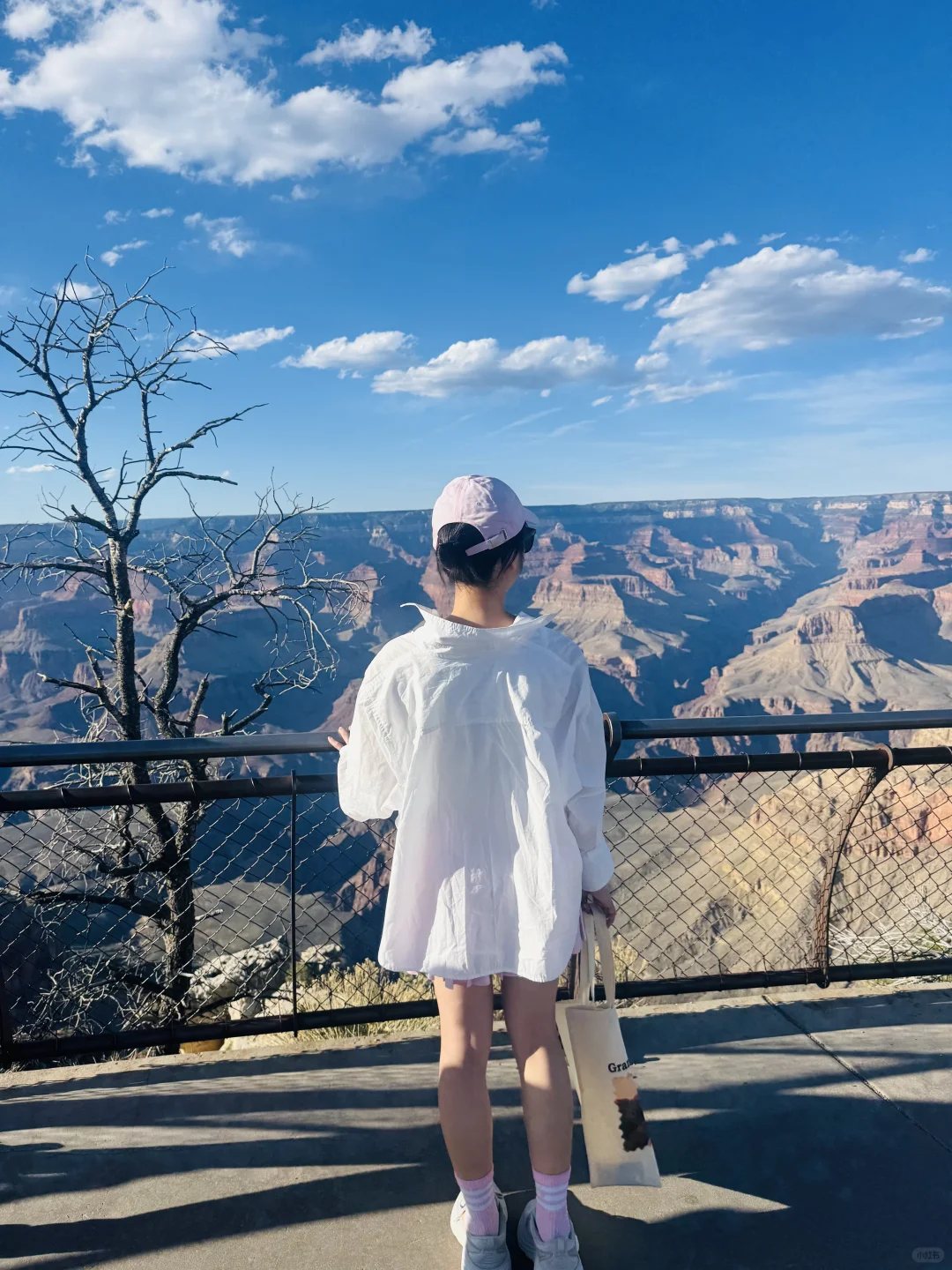 （Part 1）五日游｜大峡谷+羚羊谷+拉斯维加斯