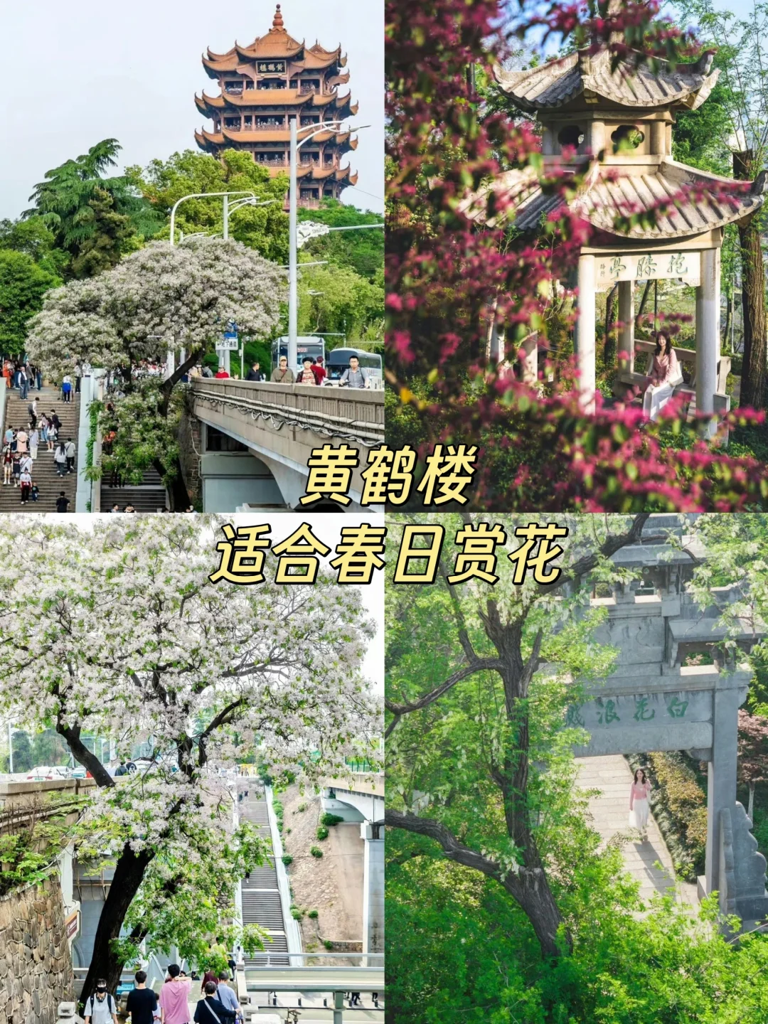4月武汉美到超乎想象❗️❗️邂逅江城浪漫