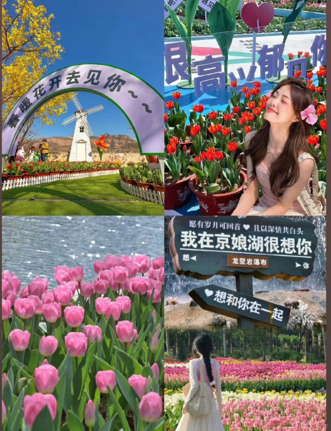 邯郸去京娘湖一日游，赏花+游山+玩水！