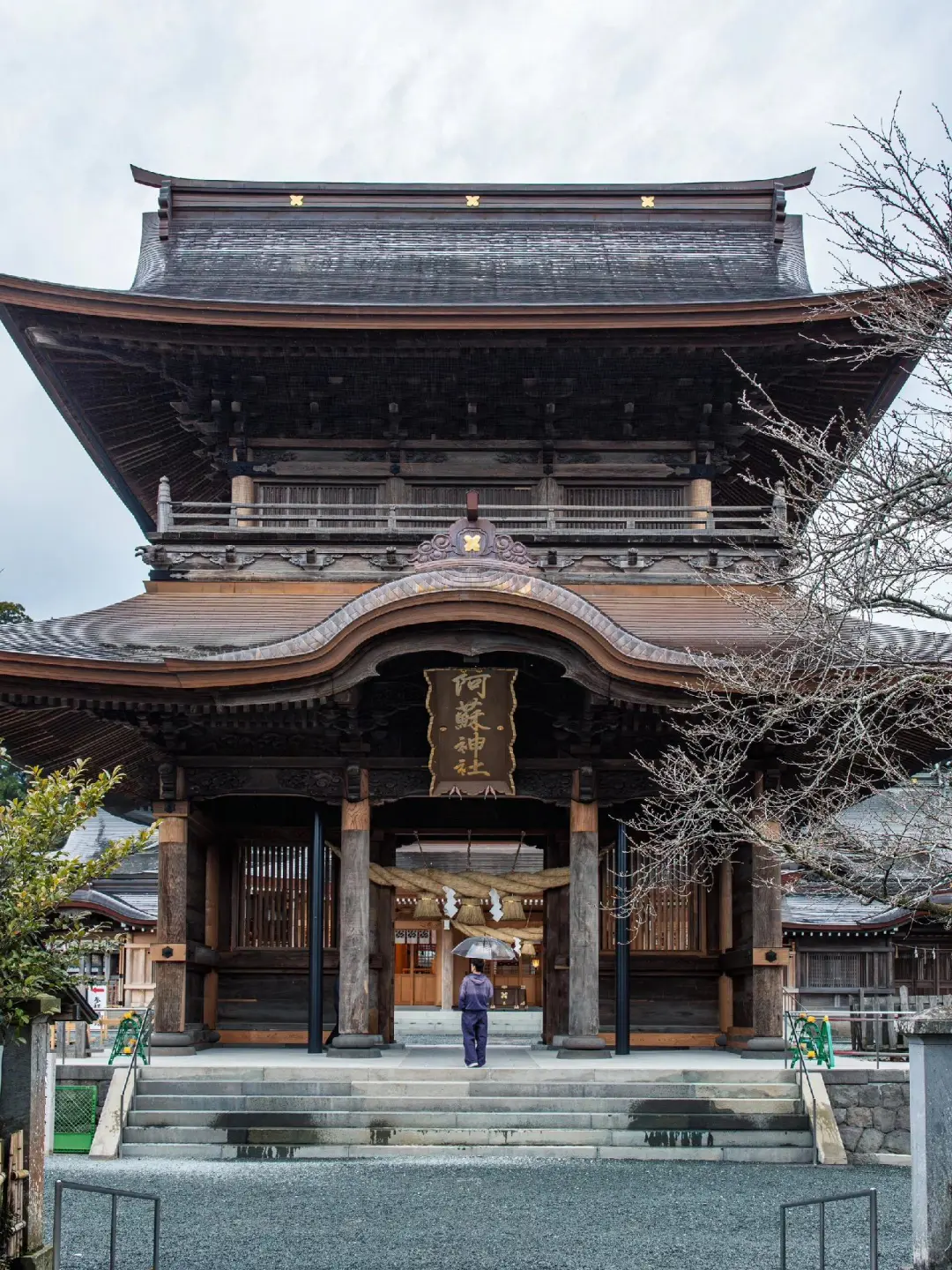 东京大阪去腻了，会玩的人都去九州了🌲