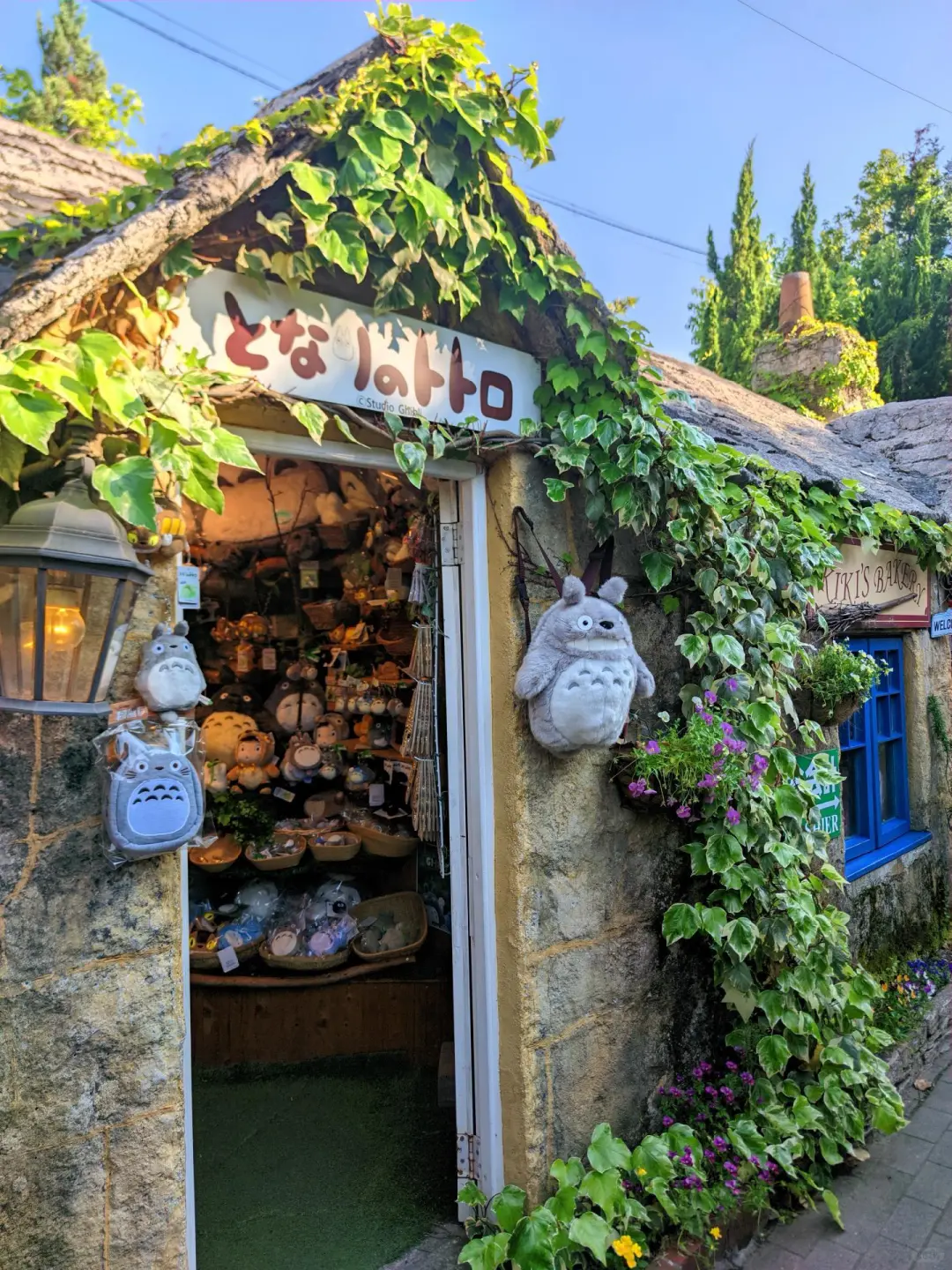 东京大阪去腻了，会玩的人都去九州了🌲