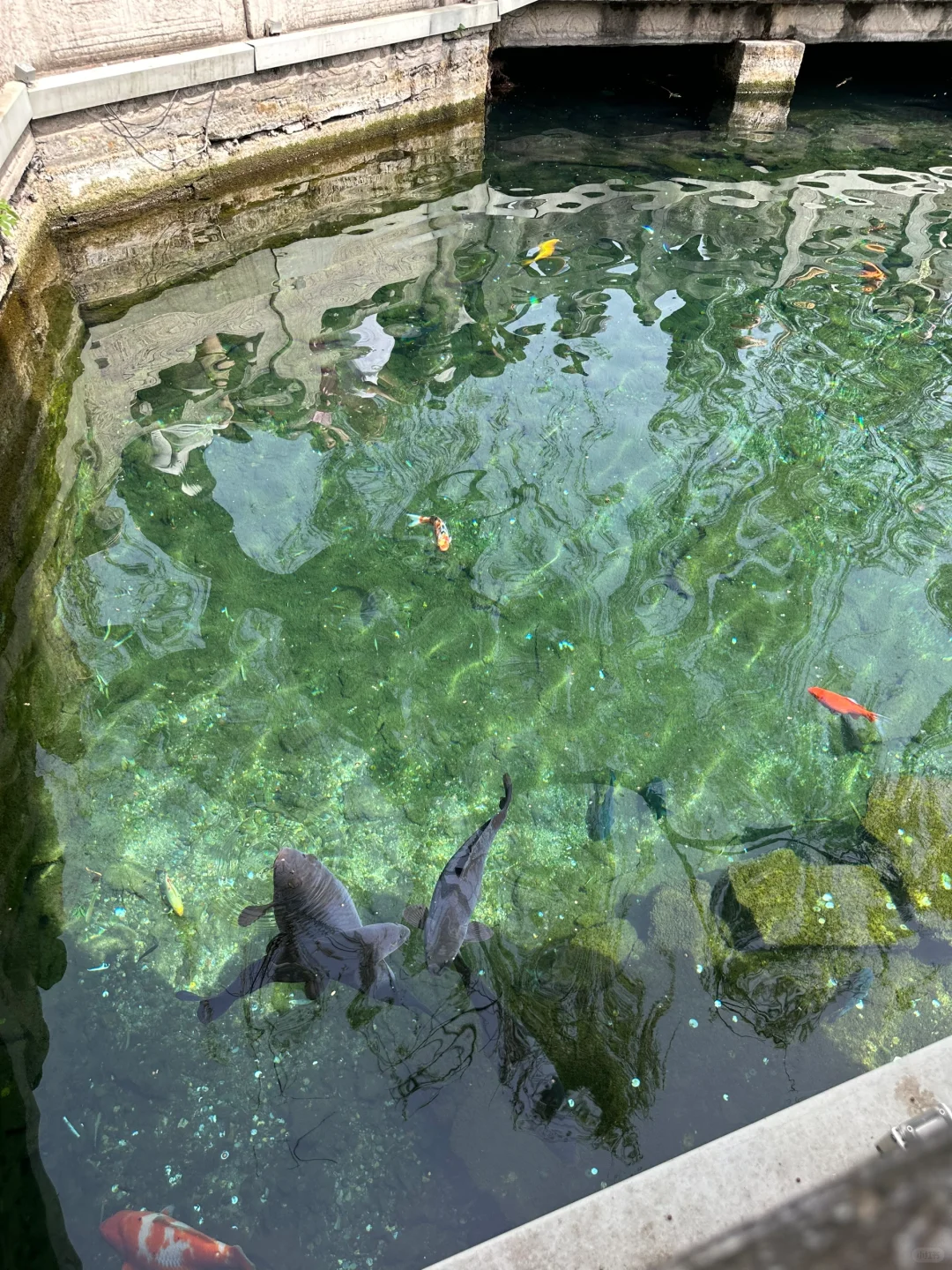 济南景点都去了……