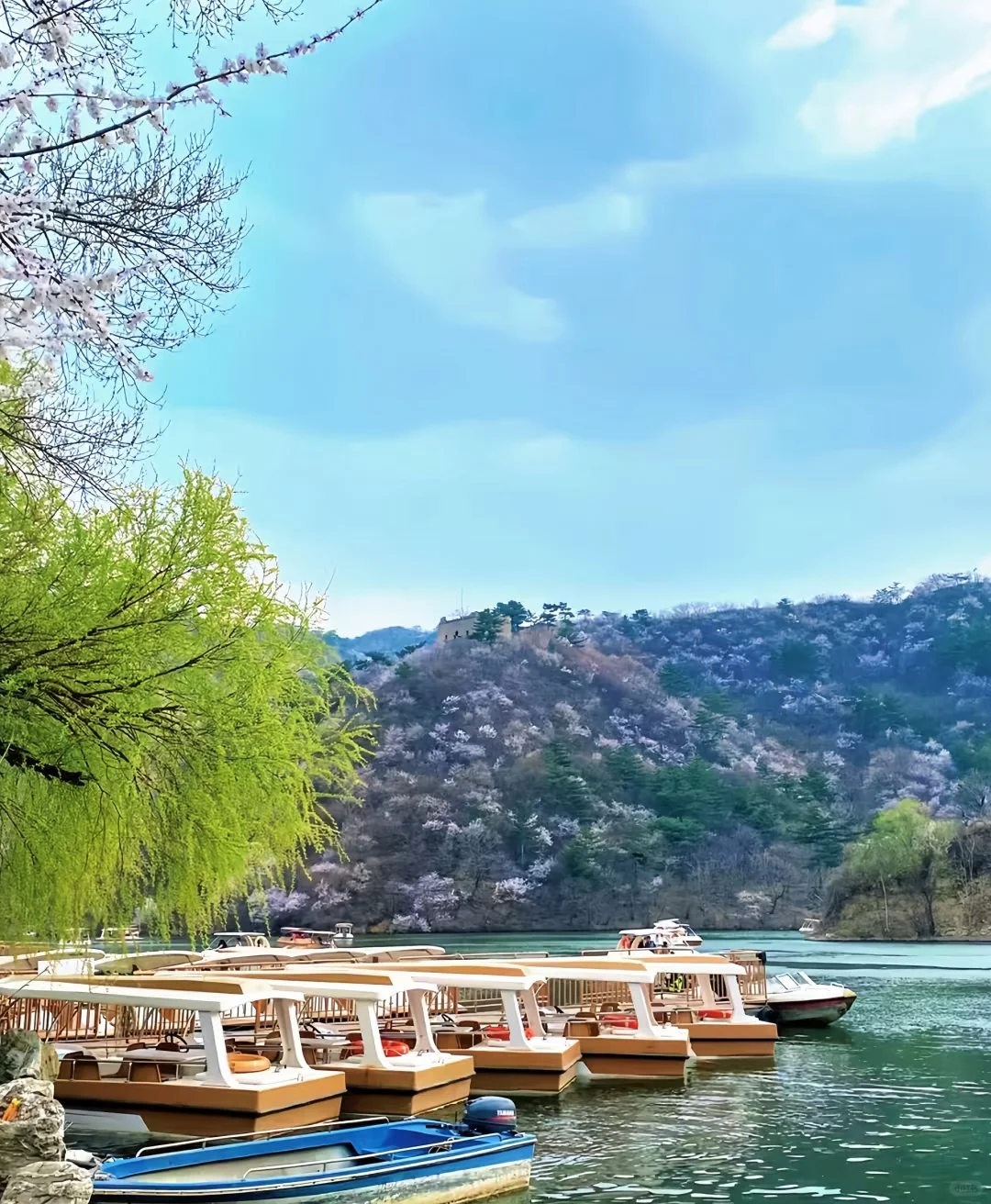 发现了一个超级适合周末的地方！🌊