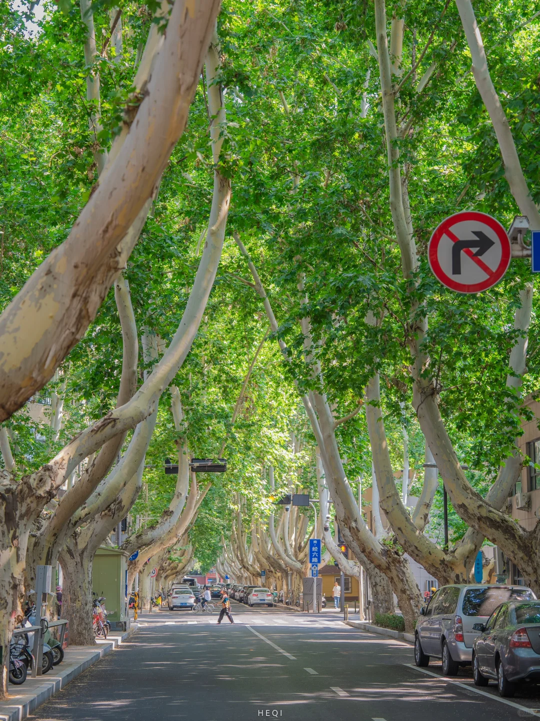 迄今为止，最让我意外的旅行城市出现了…