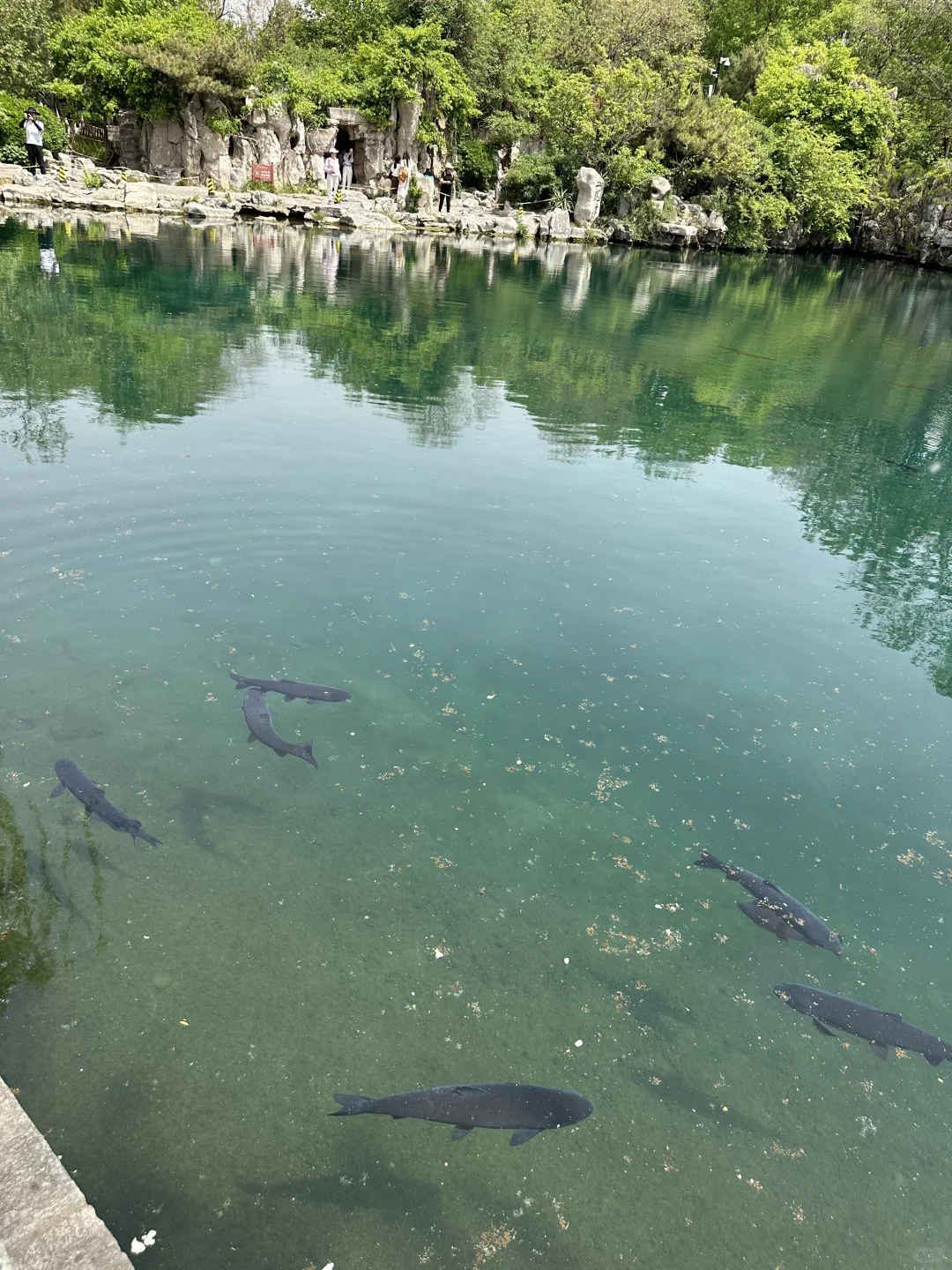 济南景点都去了……