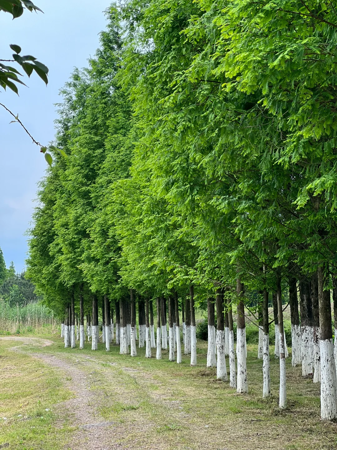 梁思成没骗我!这里真的是超冷门小众的小城!