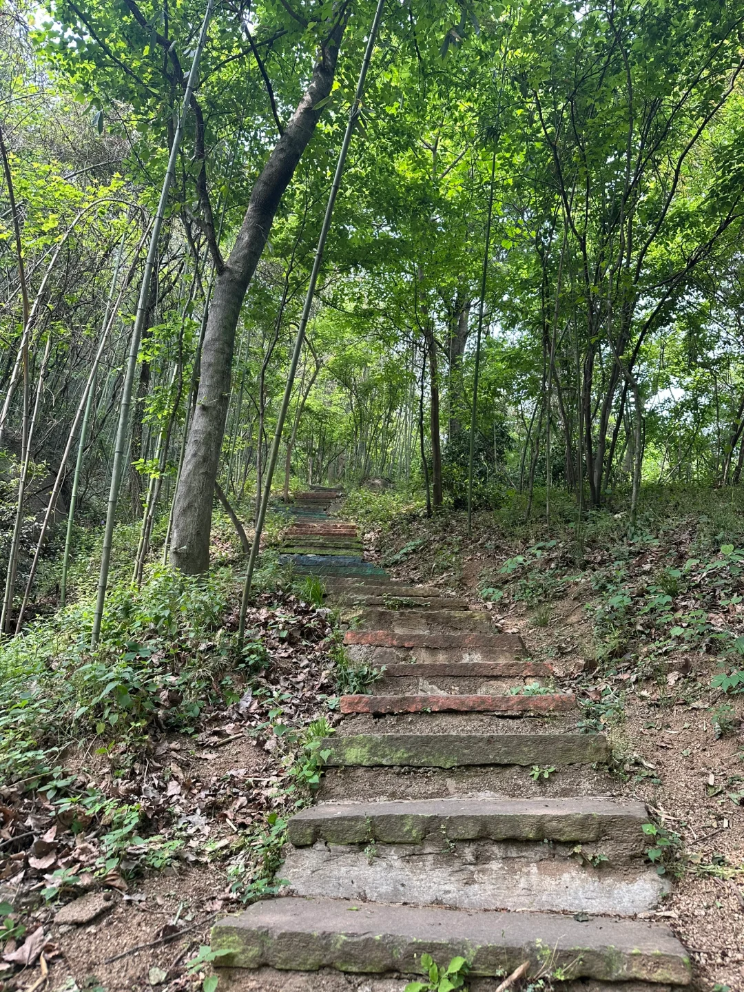 六安周边亲子游：龙井沟风景区
