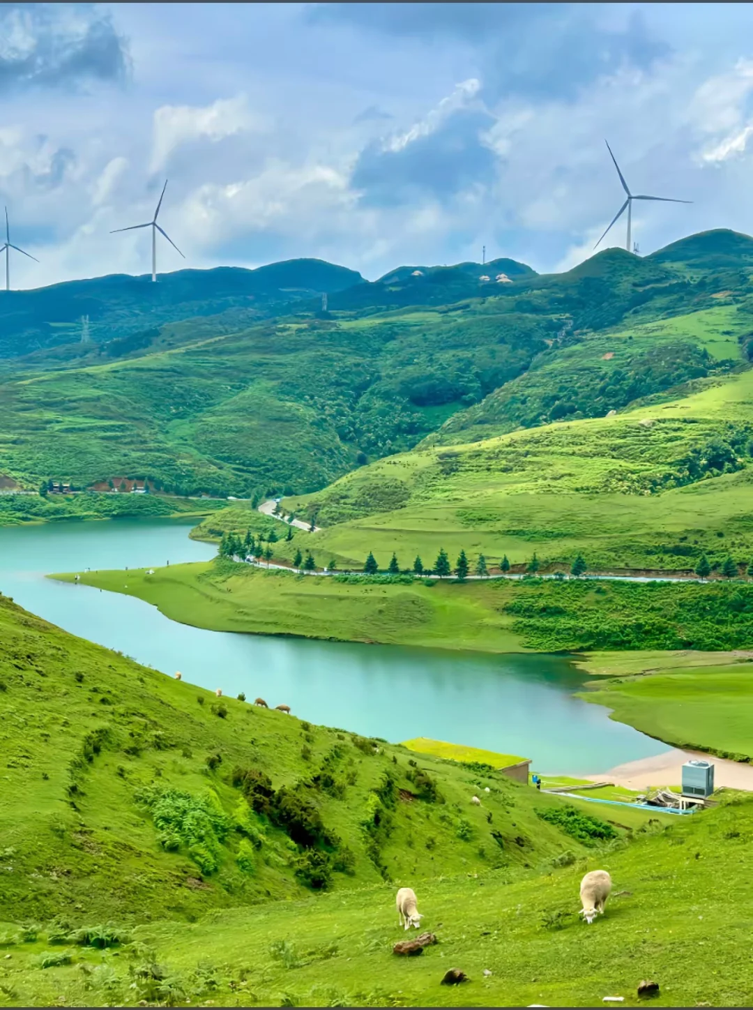 贵洲的景点 已打卡完毕冲鸭✨欢迎家人们补充