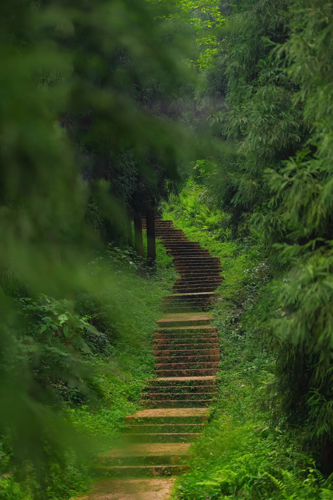 成都1.5h🍃小众冷门免费徒步秘境‼️