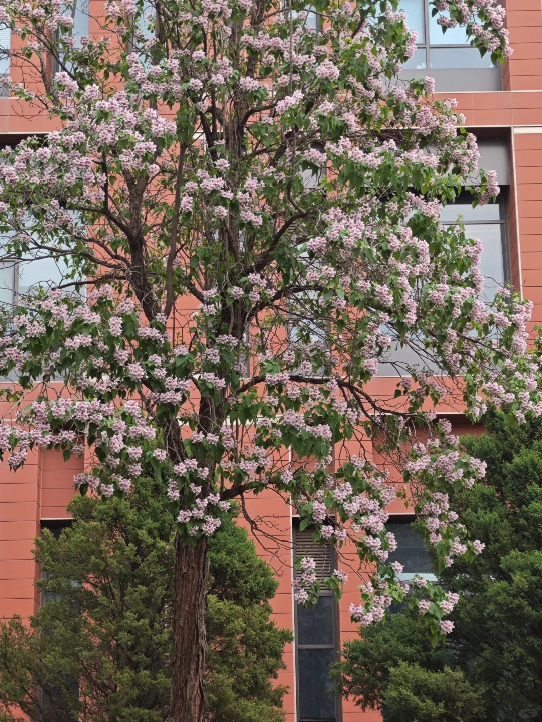 去往北京的春天