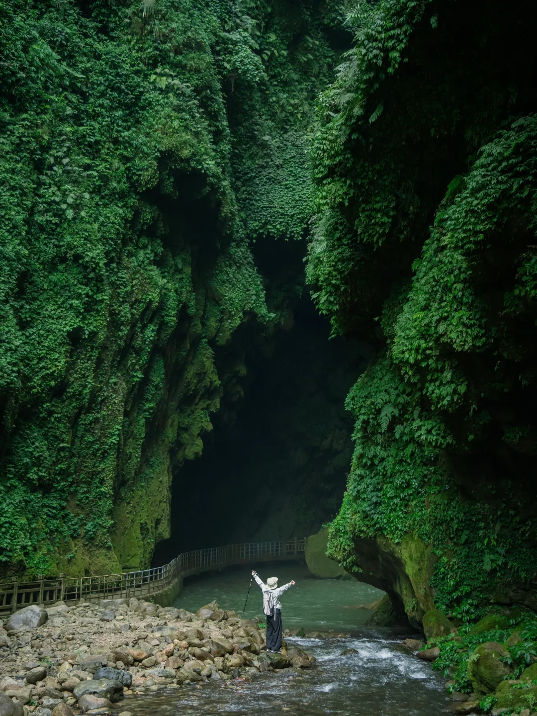 我宣布！我找到了中国最原始感的森林植物园